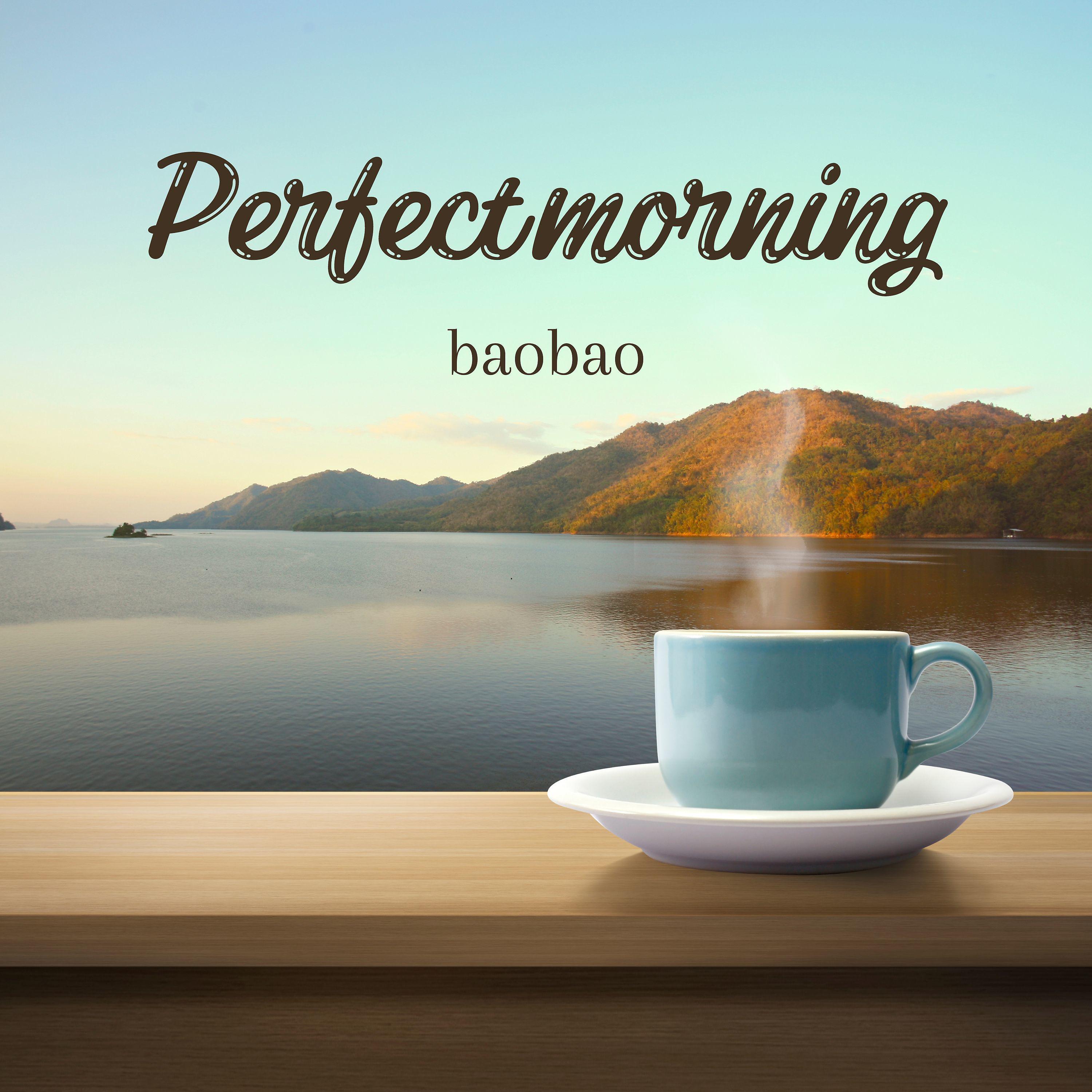 Постер альбома Perfect Morning