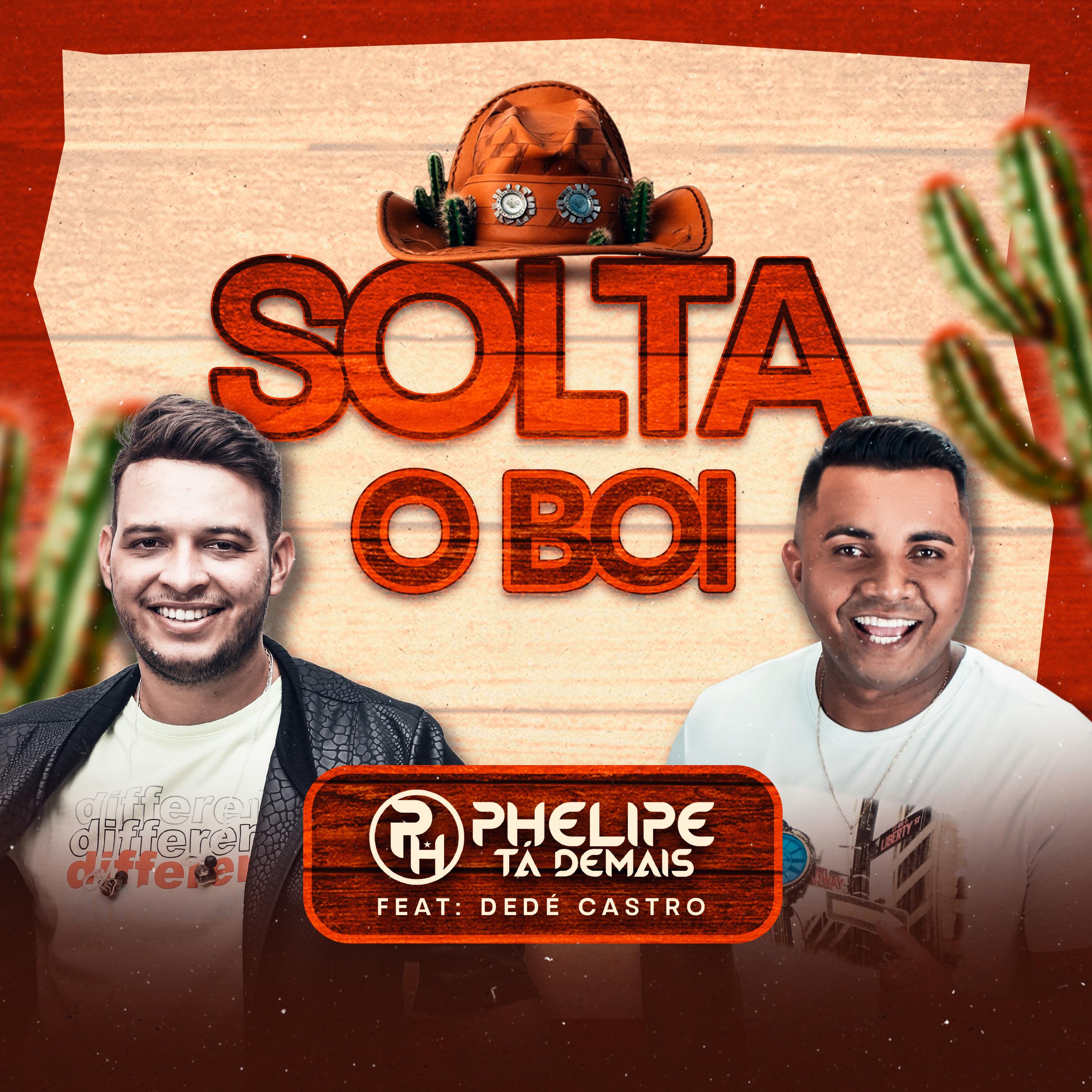 Постер альбома Solta o Boi