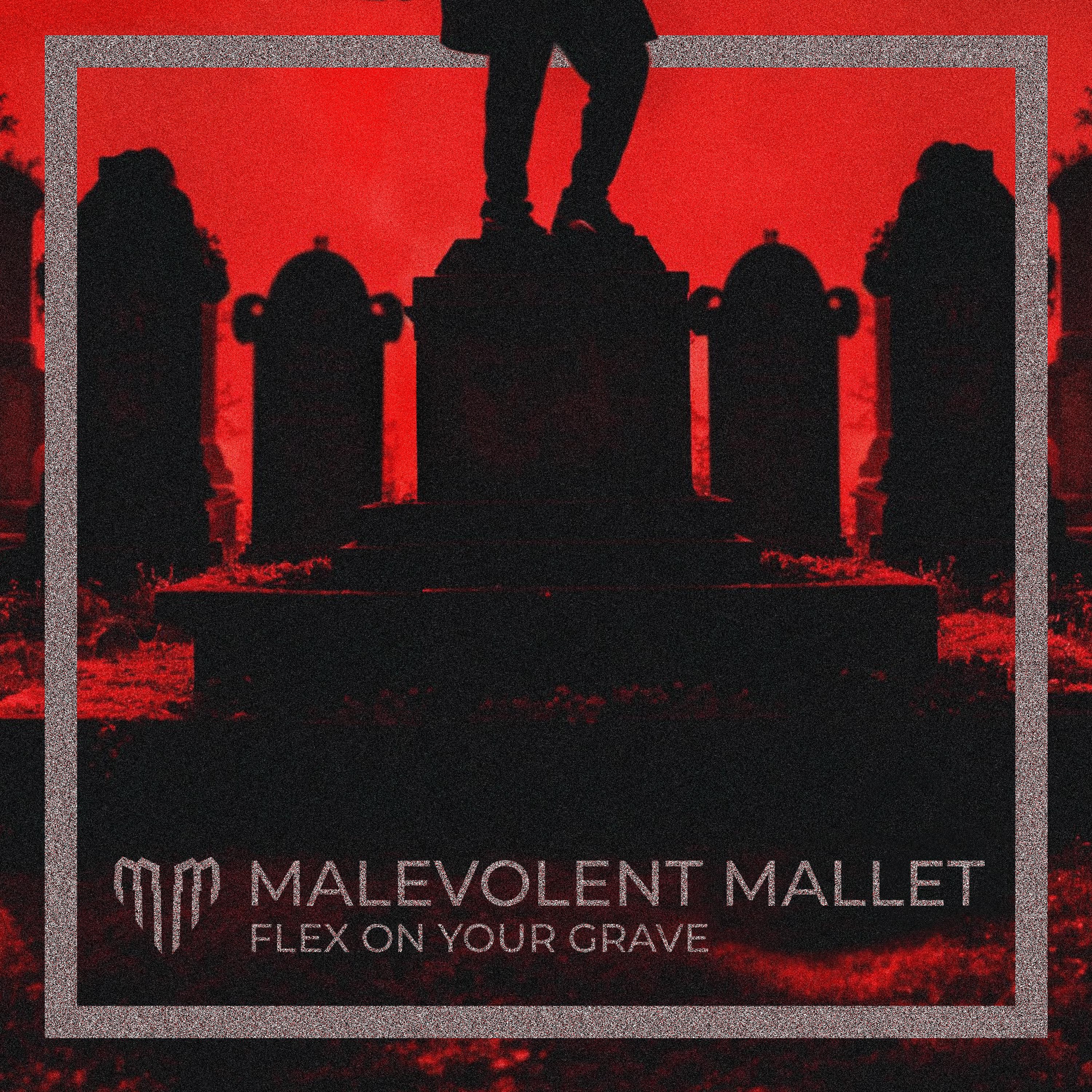 Постер альбома Flex on Your Grave