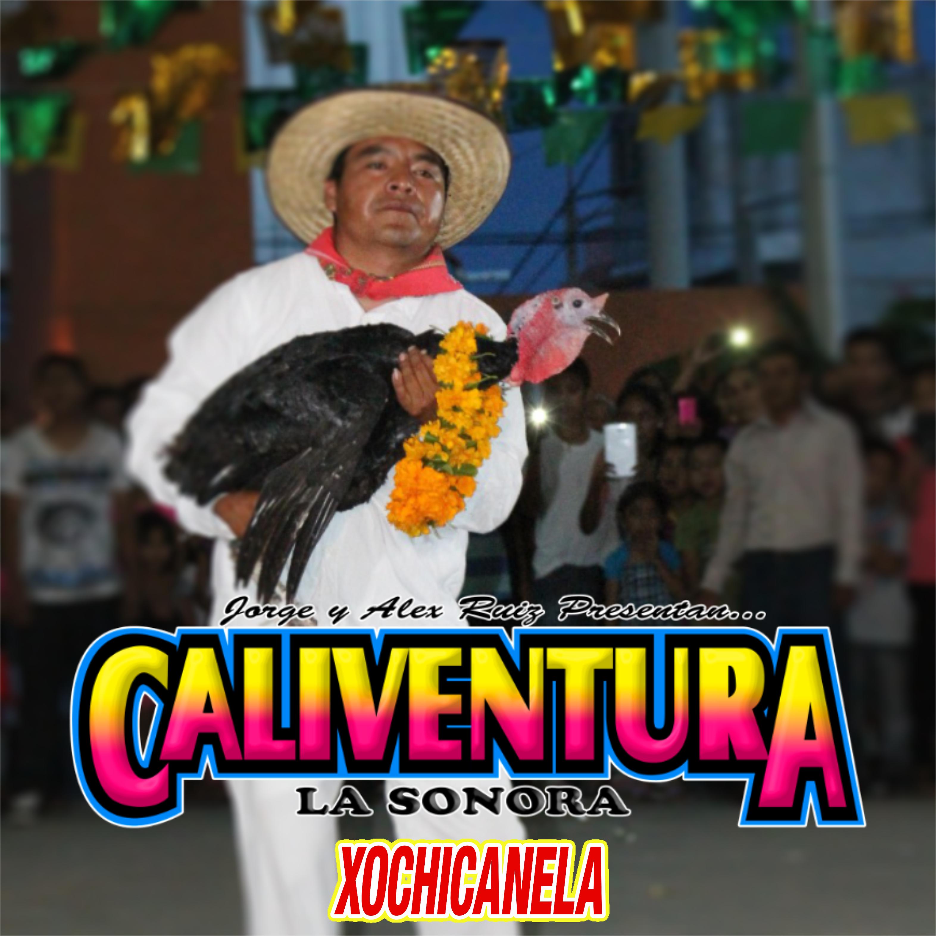 Постер альбома Xochicanela (Baile del Guajolote)