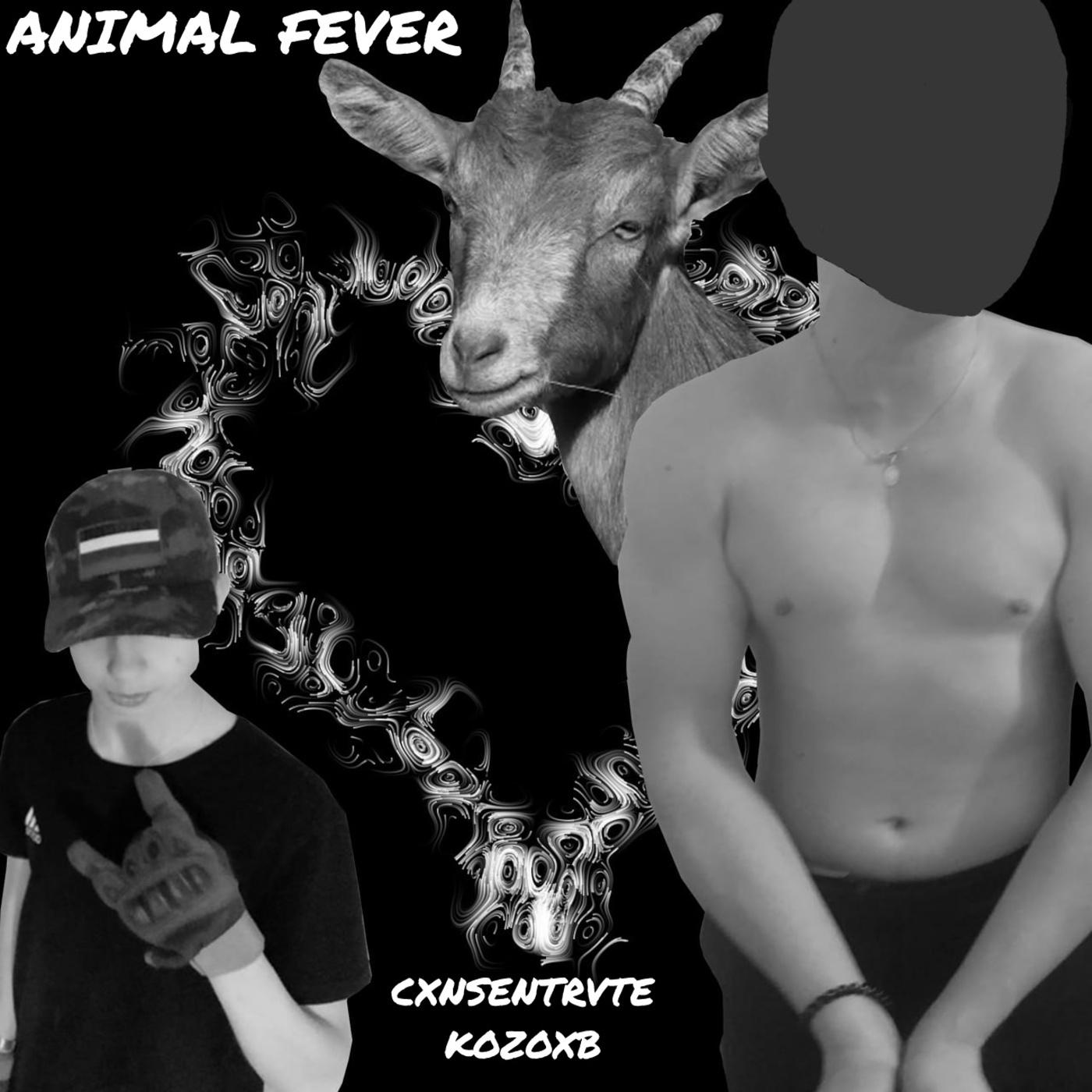 Постер альбома Animal Fever (feat. Kozoxb)