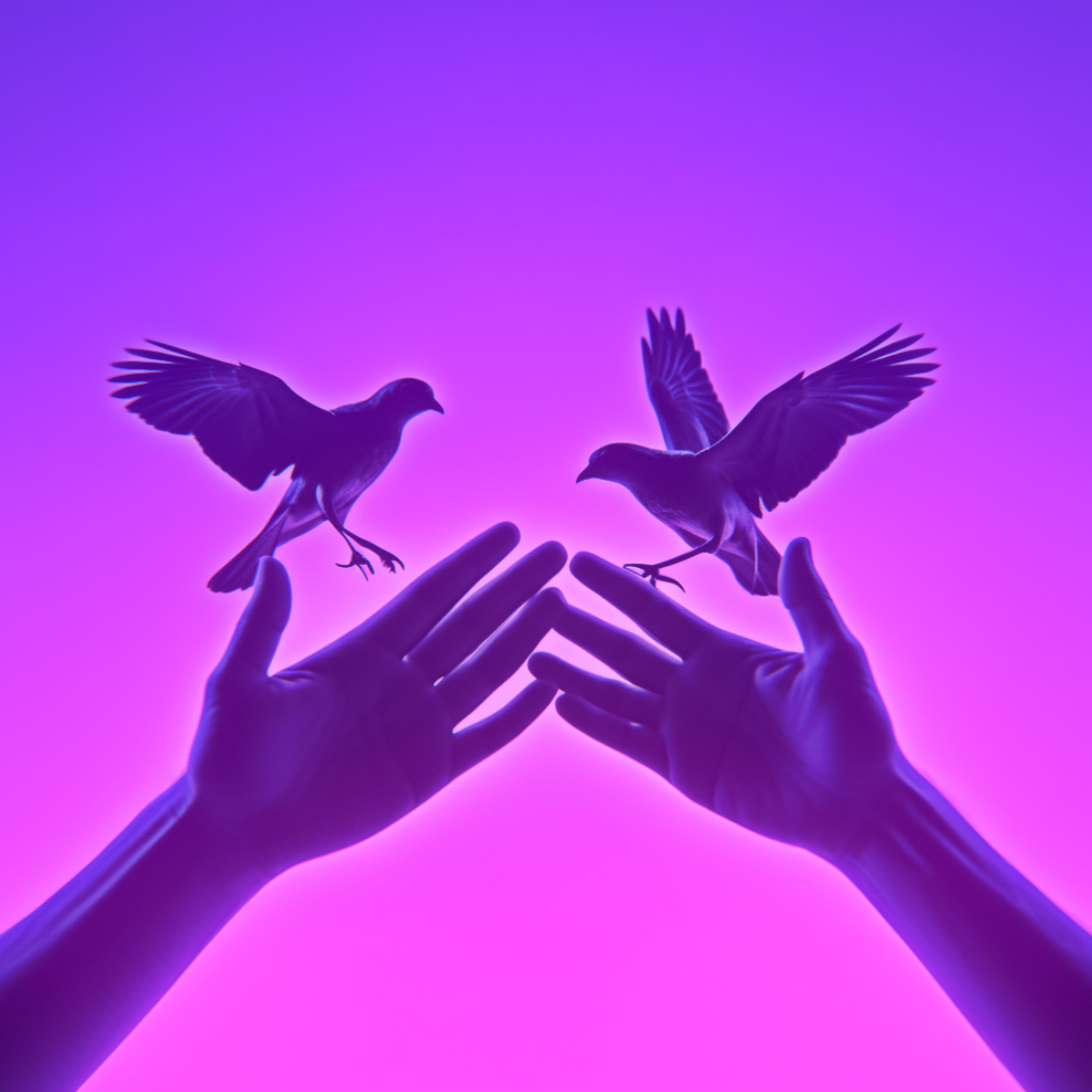 Постер альбома Birds on Your Hands
