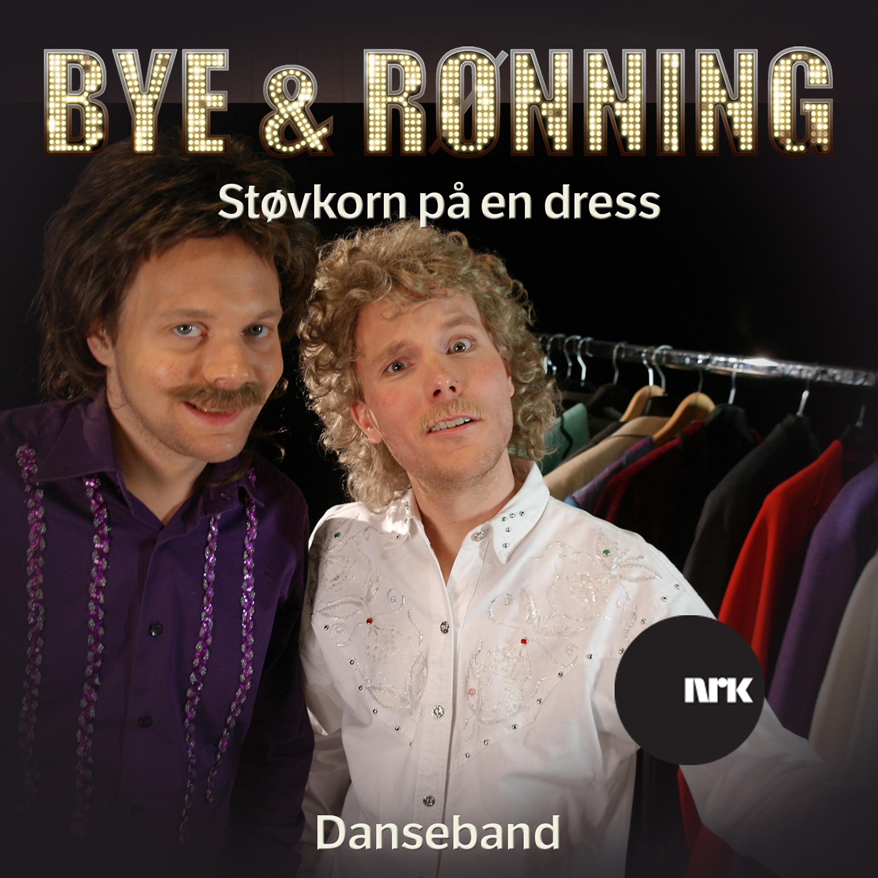 Постер альбома Støvkorn På En Dress