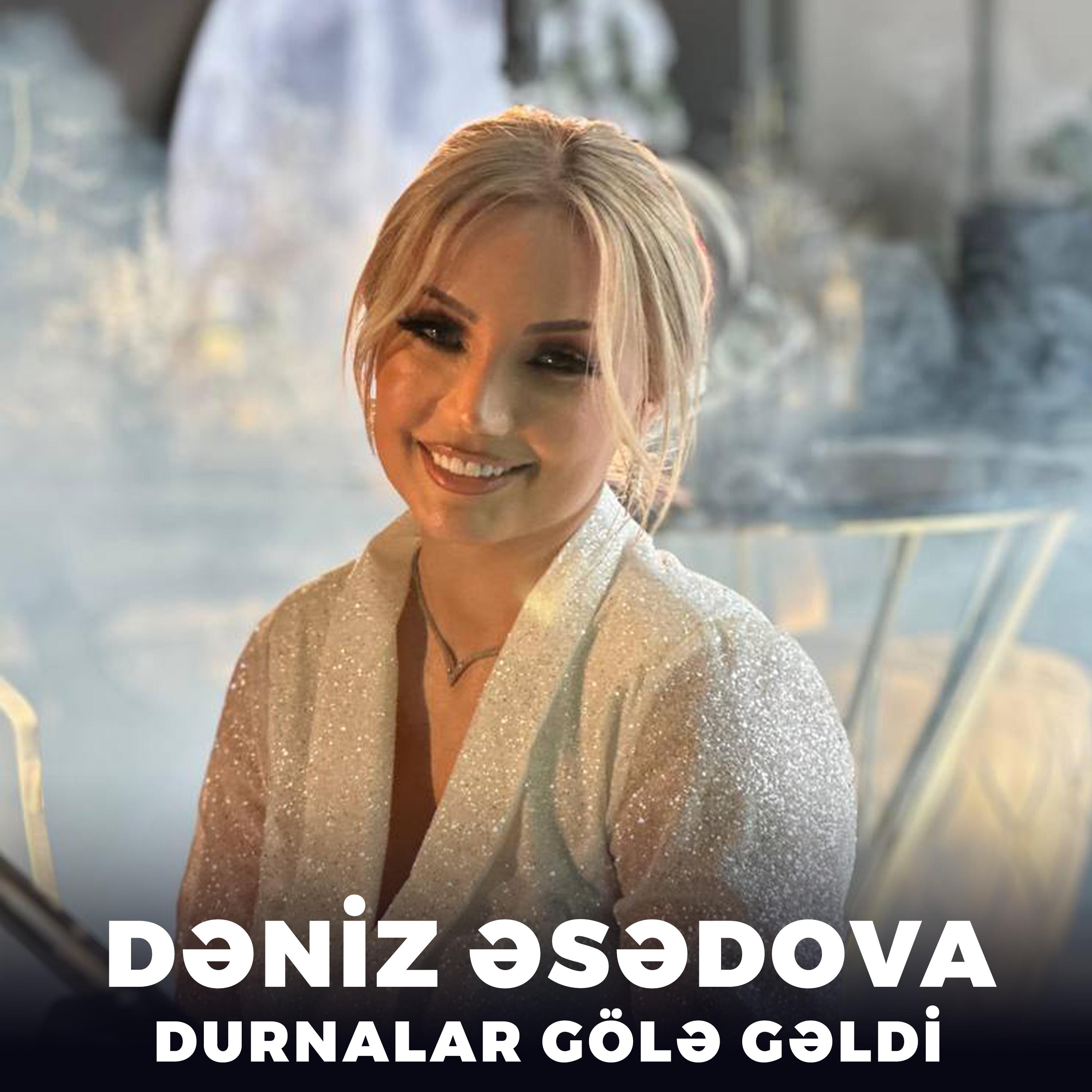 Постер альбома Durnalar Gölə Gəldi