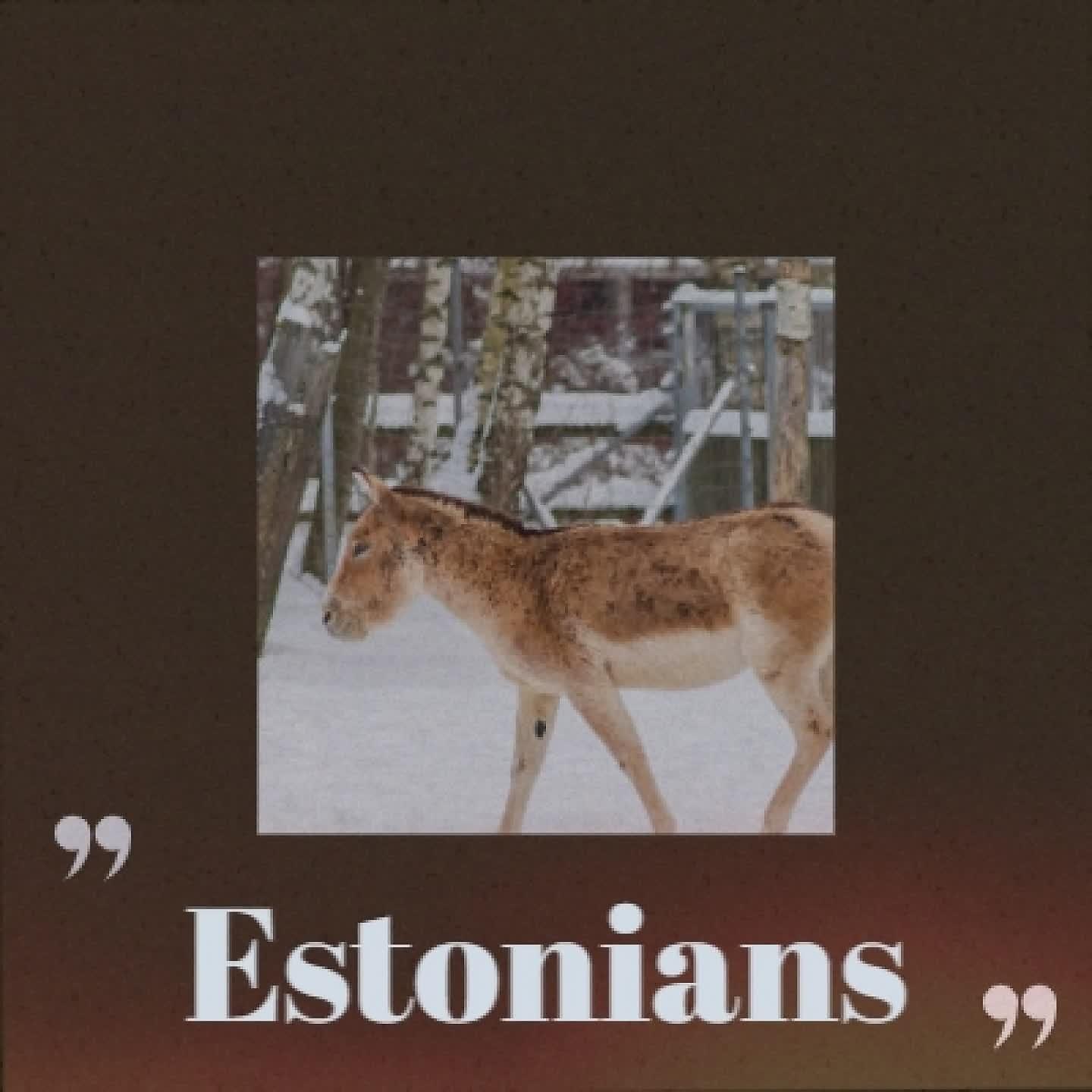 Постер альбома Estonians