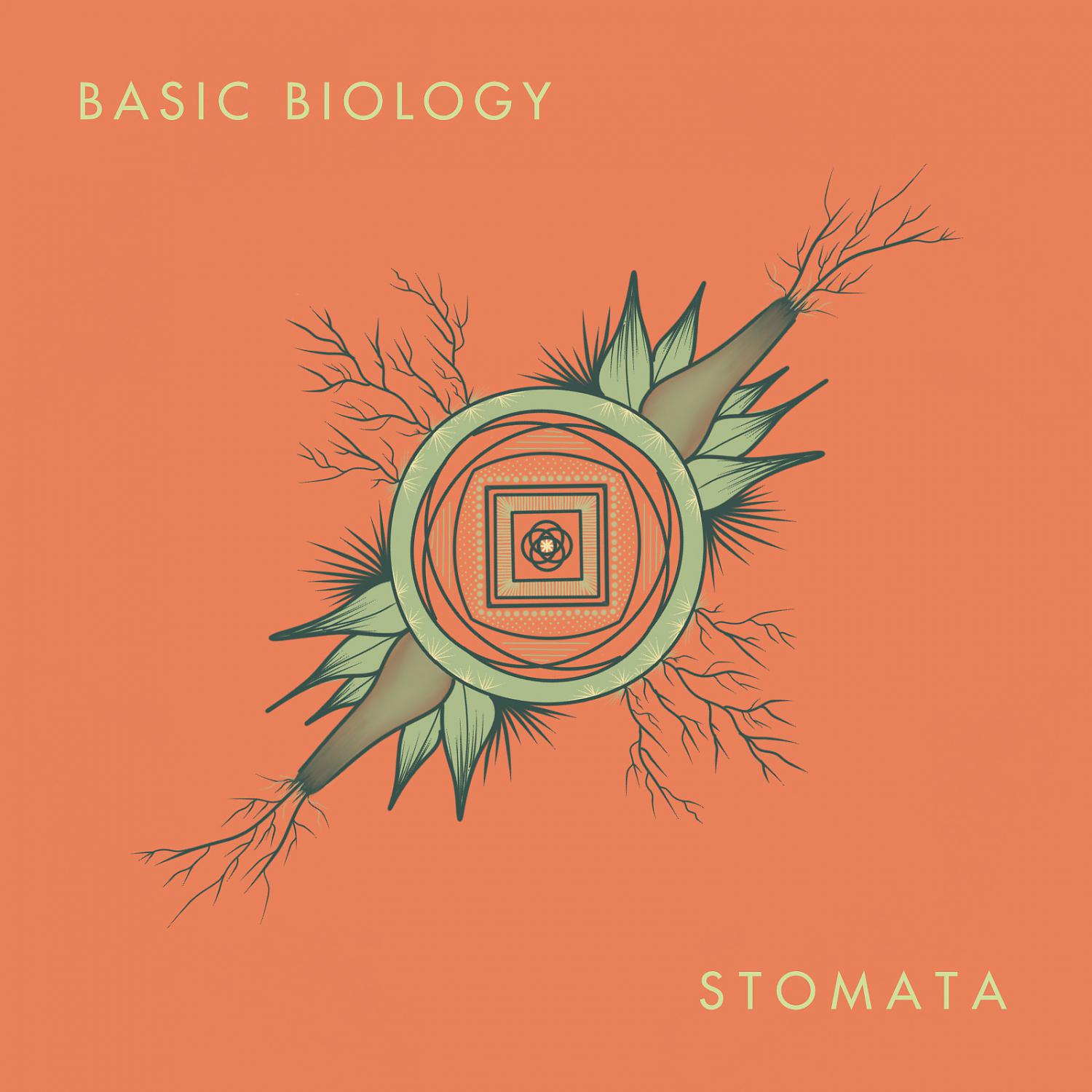 Постер альбома Stomata LP