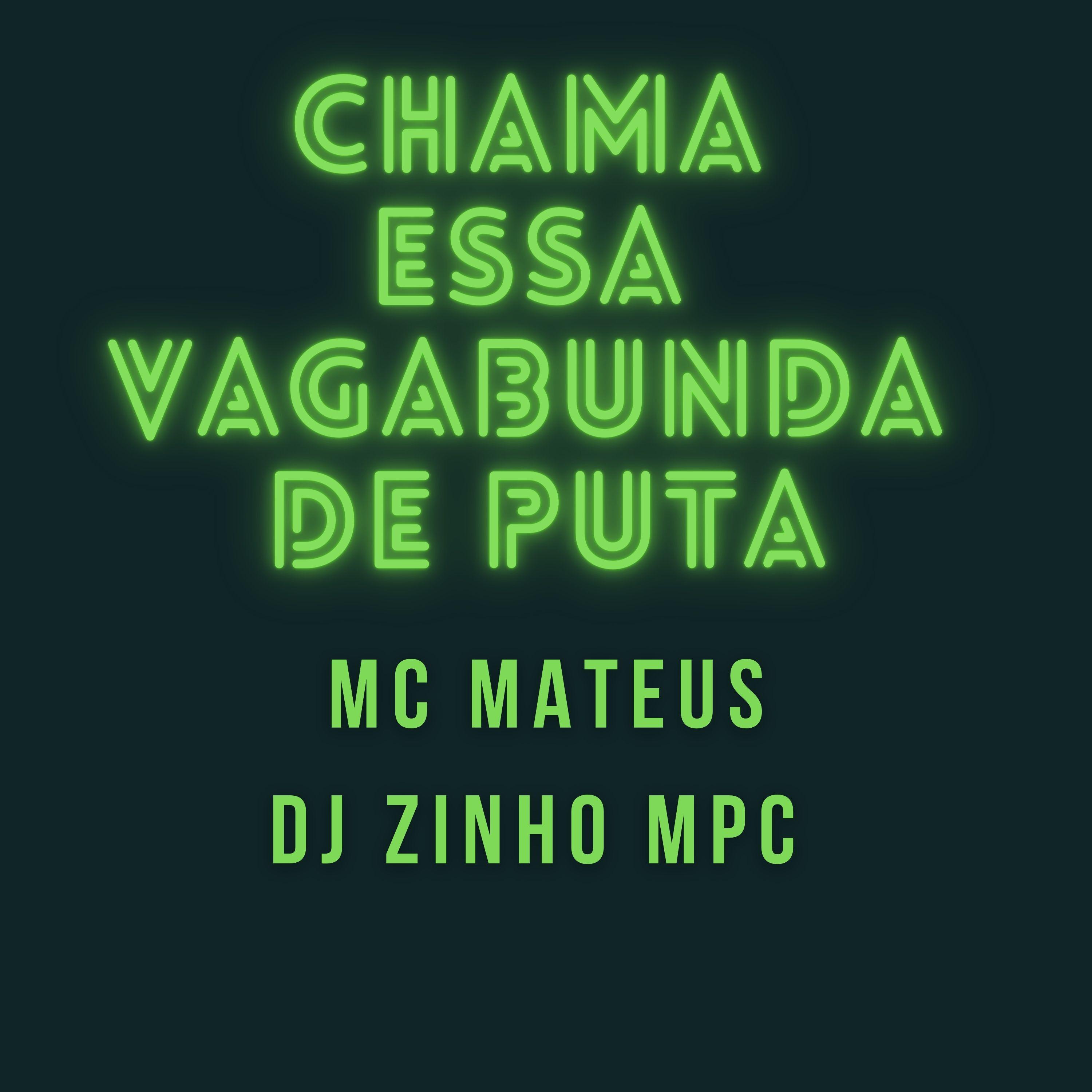 Постер альбома Chama Essa Vagabunda de Puta