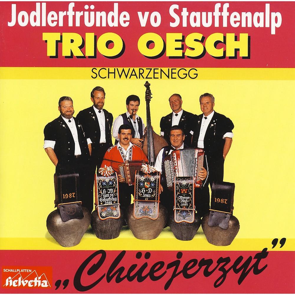 Постер альбома Chüejerzyt