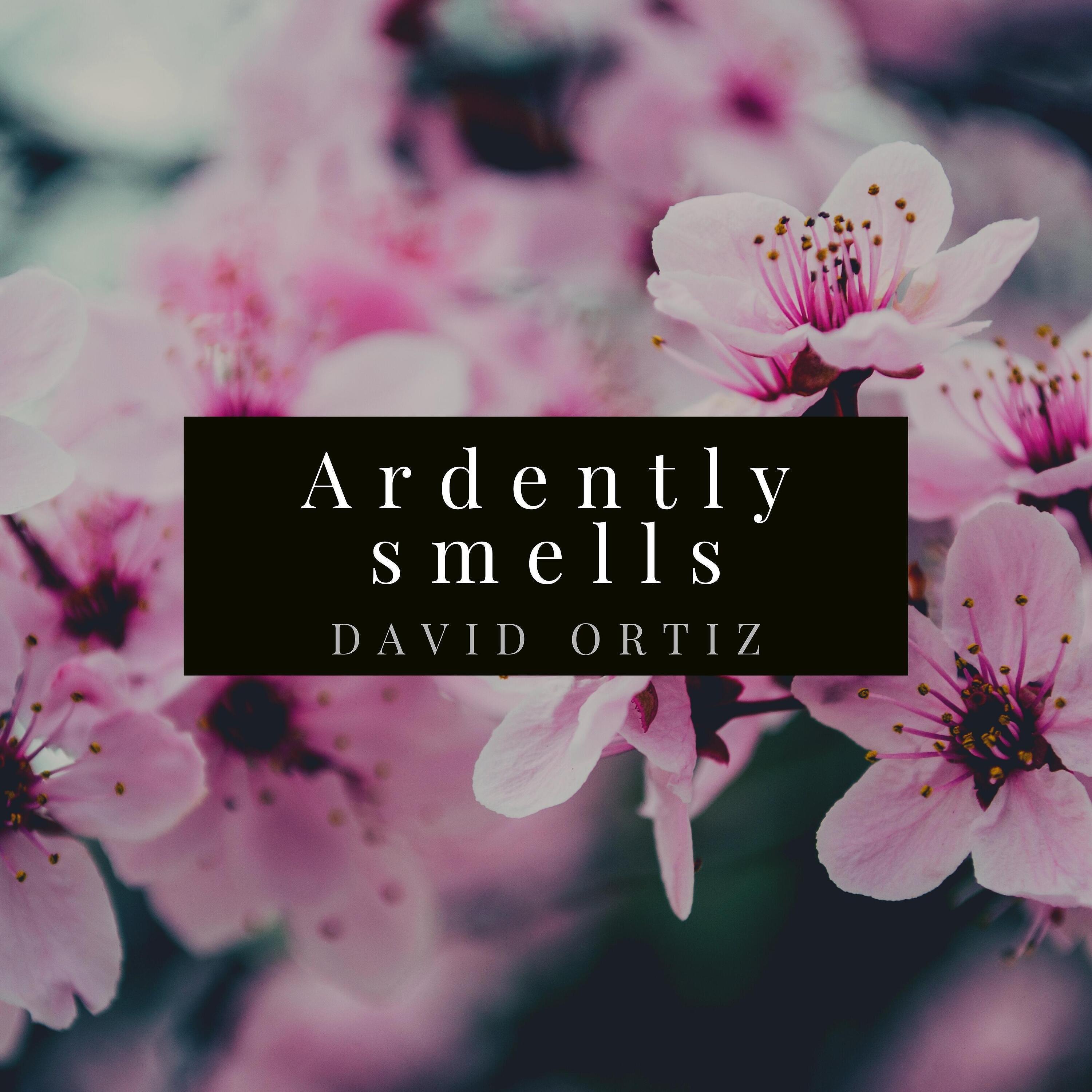 Постер альбома Ardently Smells