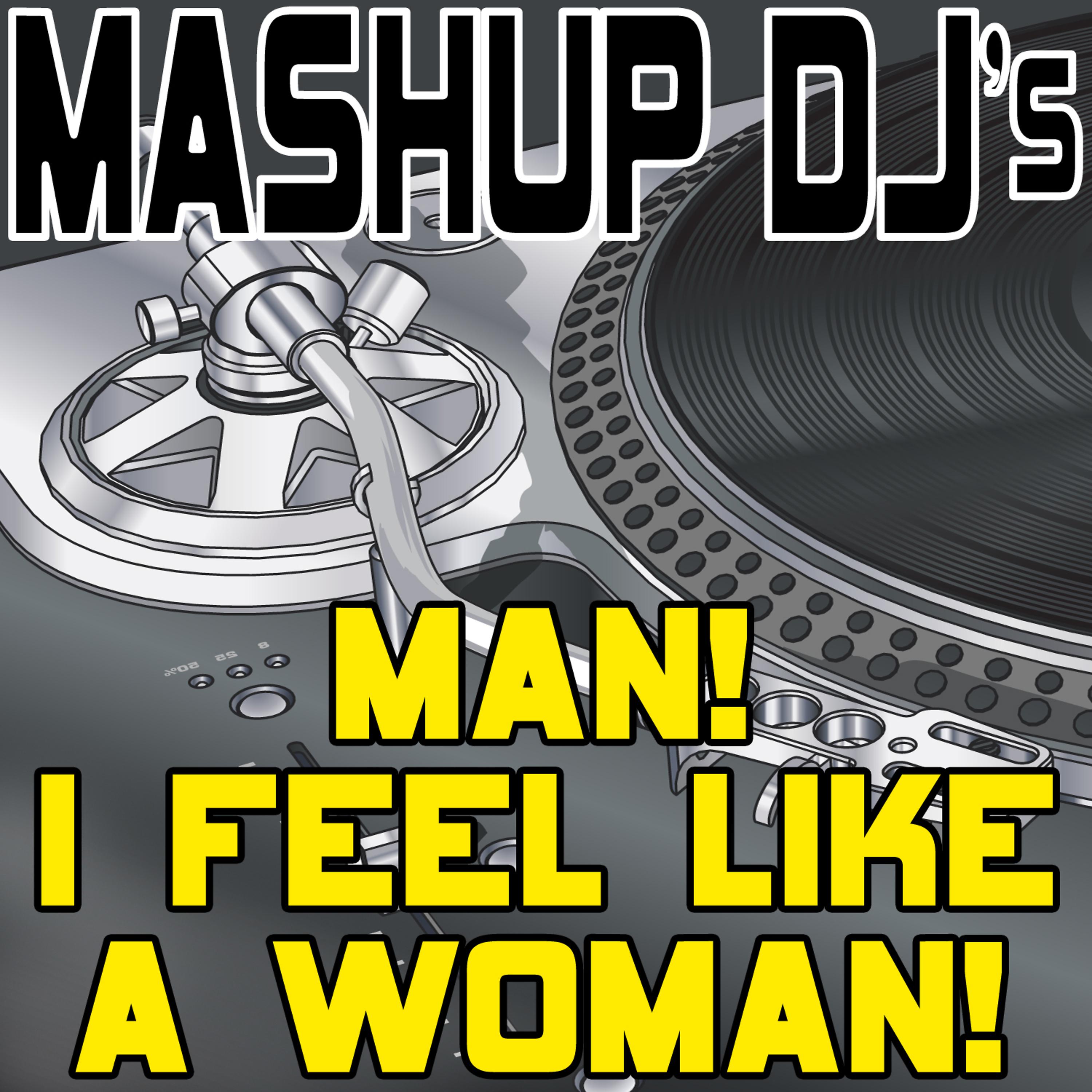 Постер альбома Man! I Feel Like A Woman! (Remix Tools For Mash-Ups)