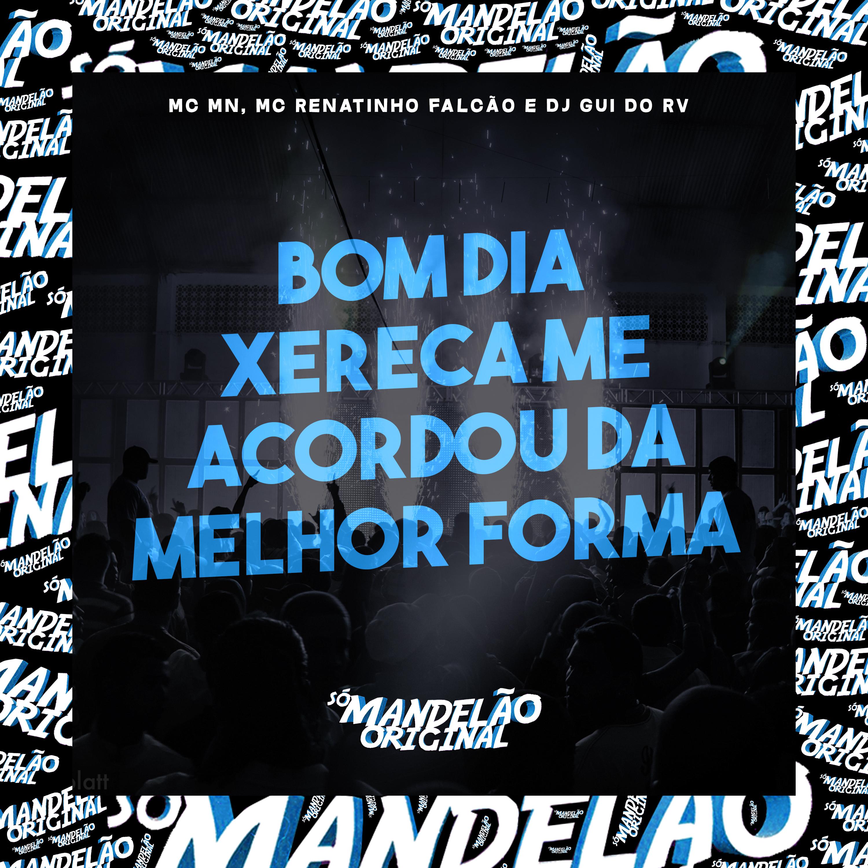 Постер альбома Bom Dia Xereca Me Acordou da Melhor Forma