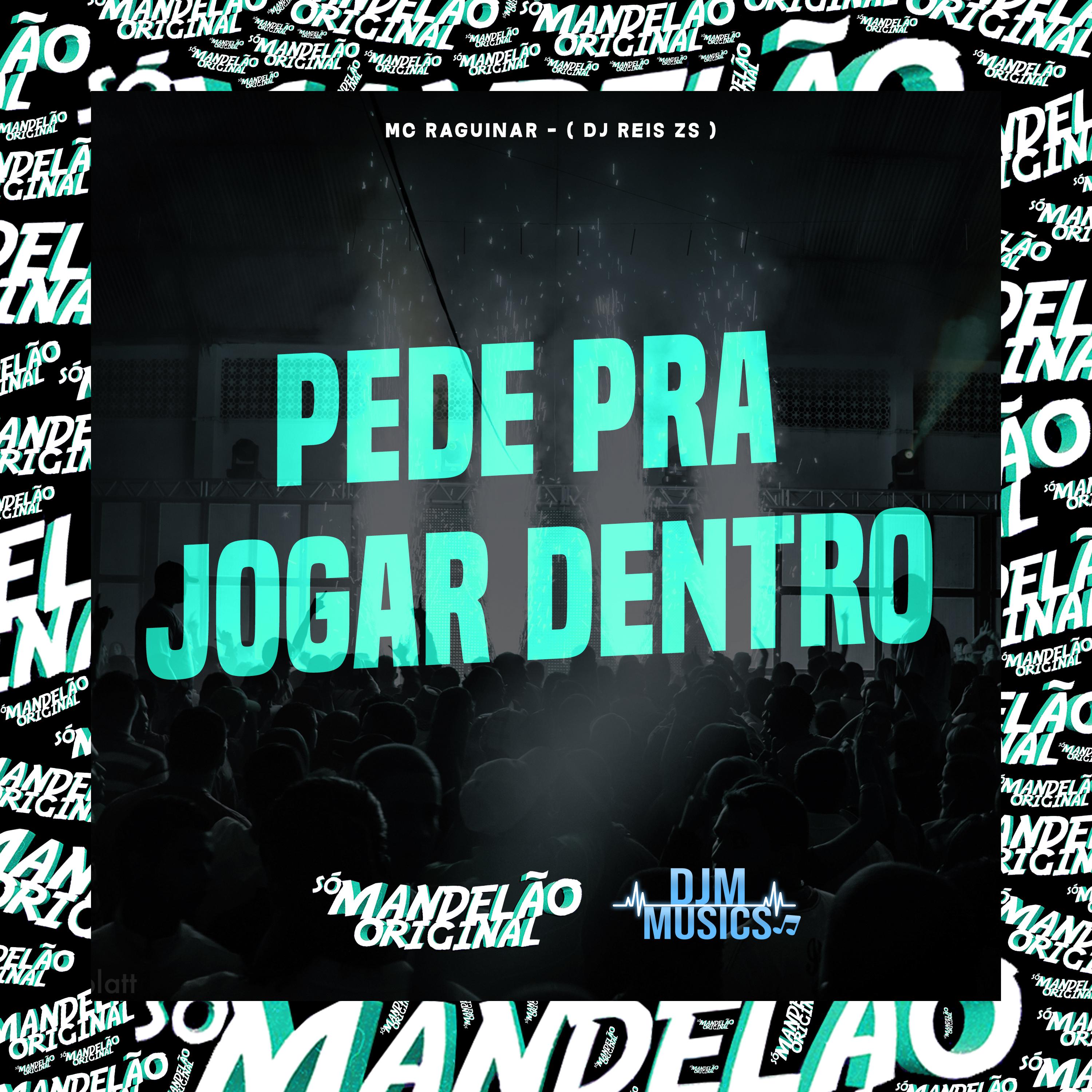 Постер альбома Pede pra Jogar Dentro