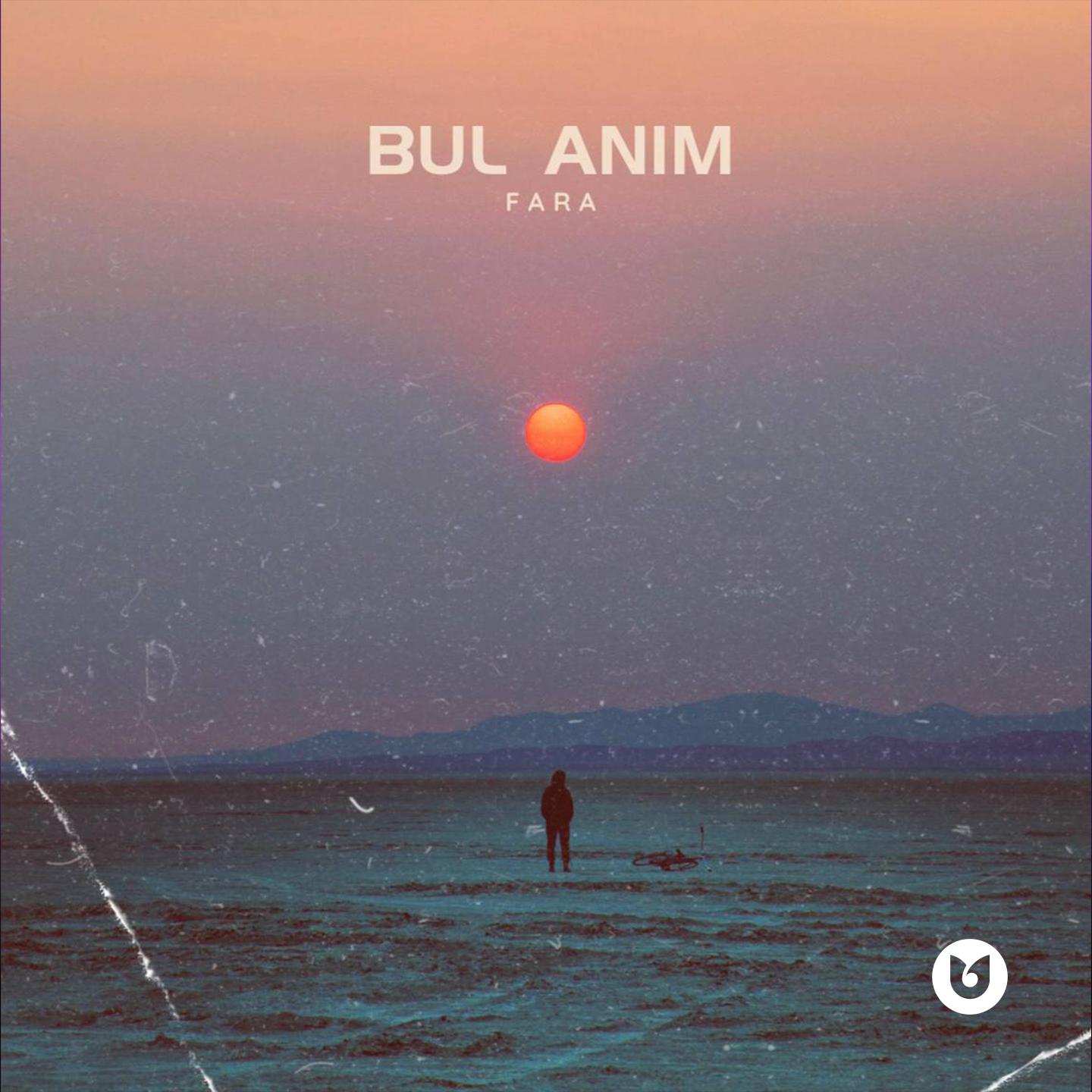 Постер альбома Bul anim