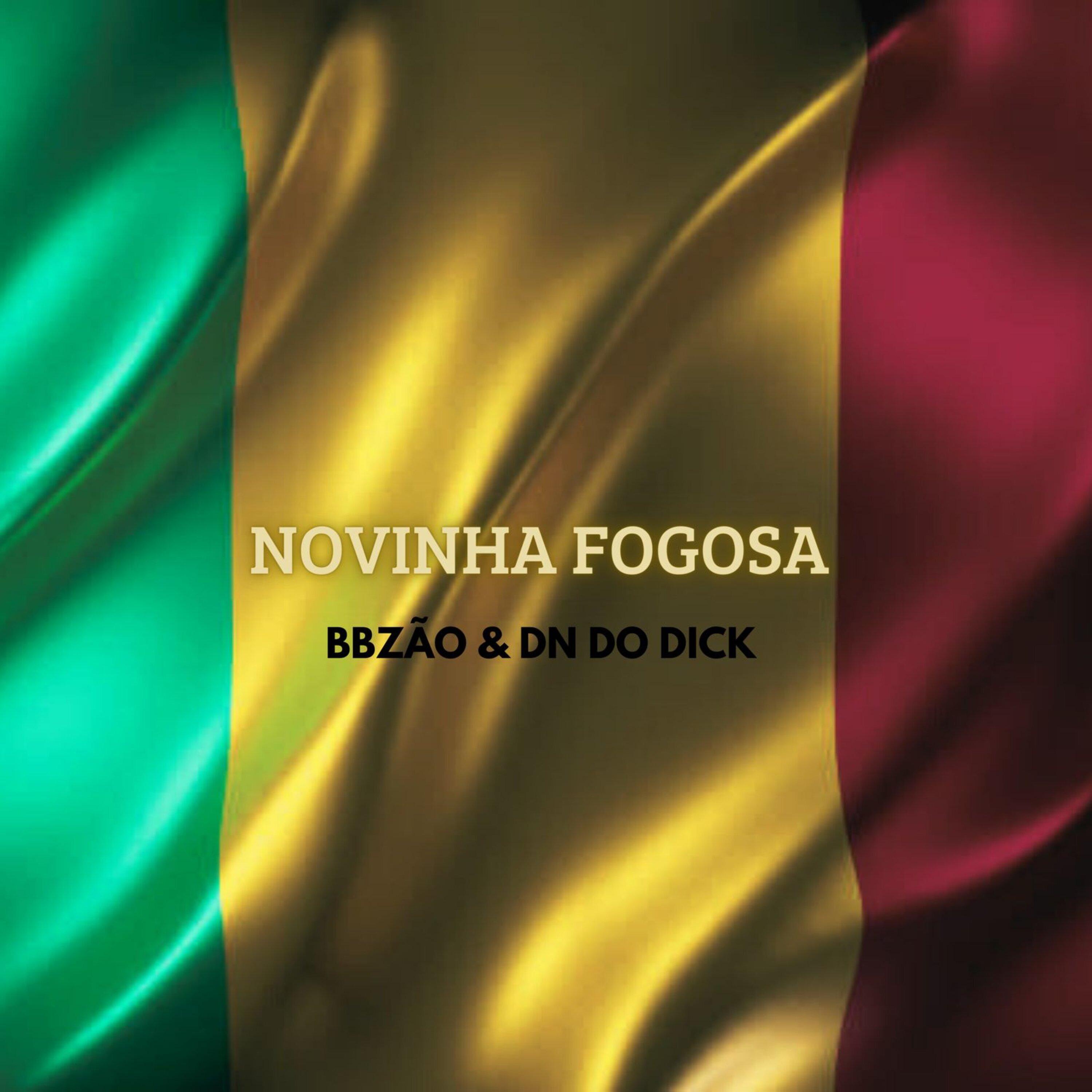 Постер альбома Novinha Fogosa