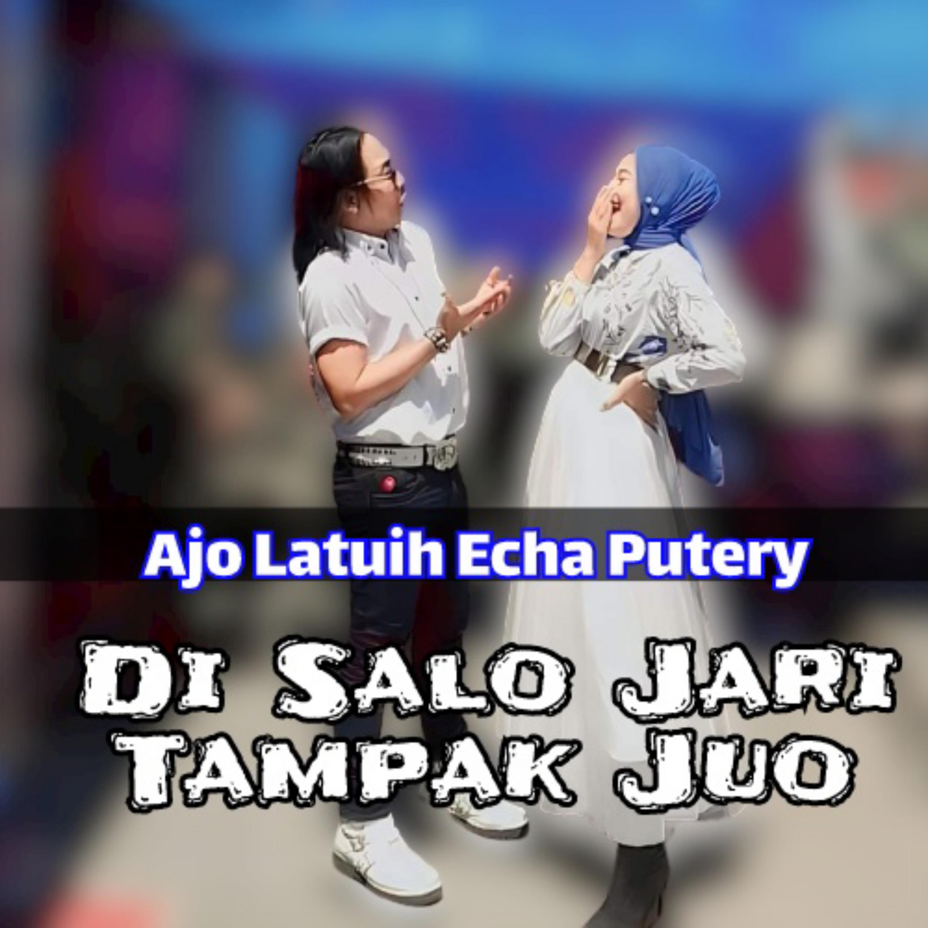 Постер альбома Di Salo Jari Tampak Juo