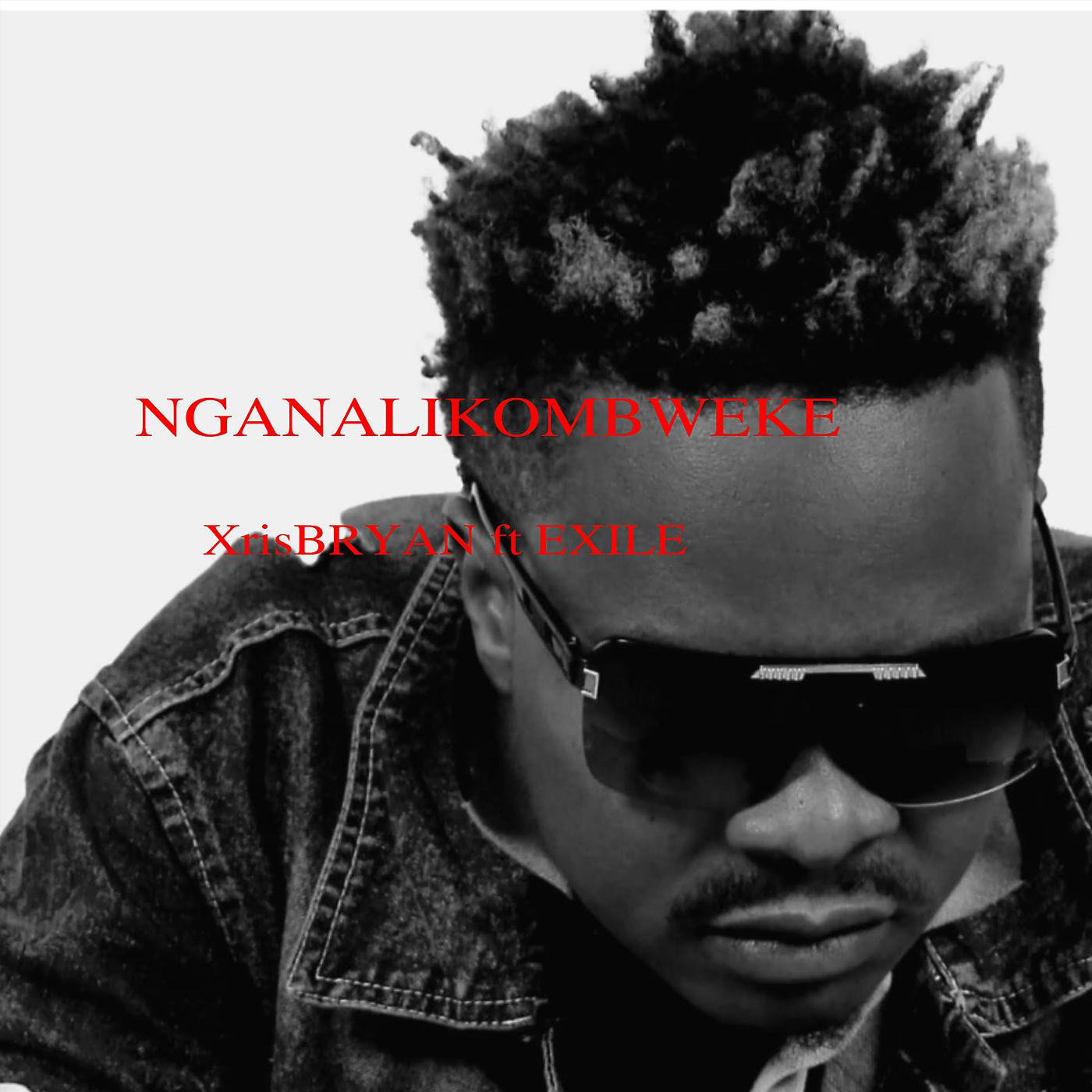 Постер альбома Nganalikombweke (feat. Exile)