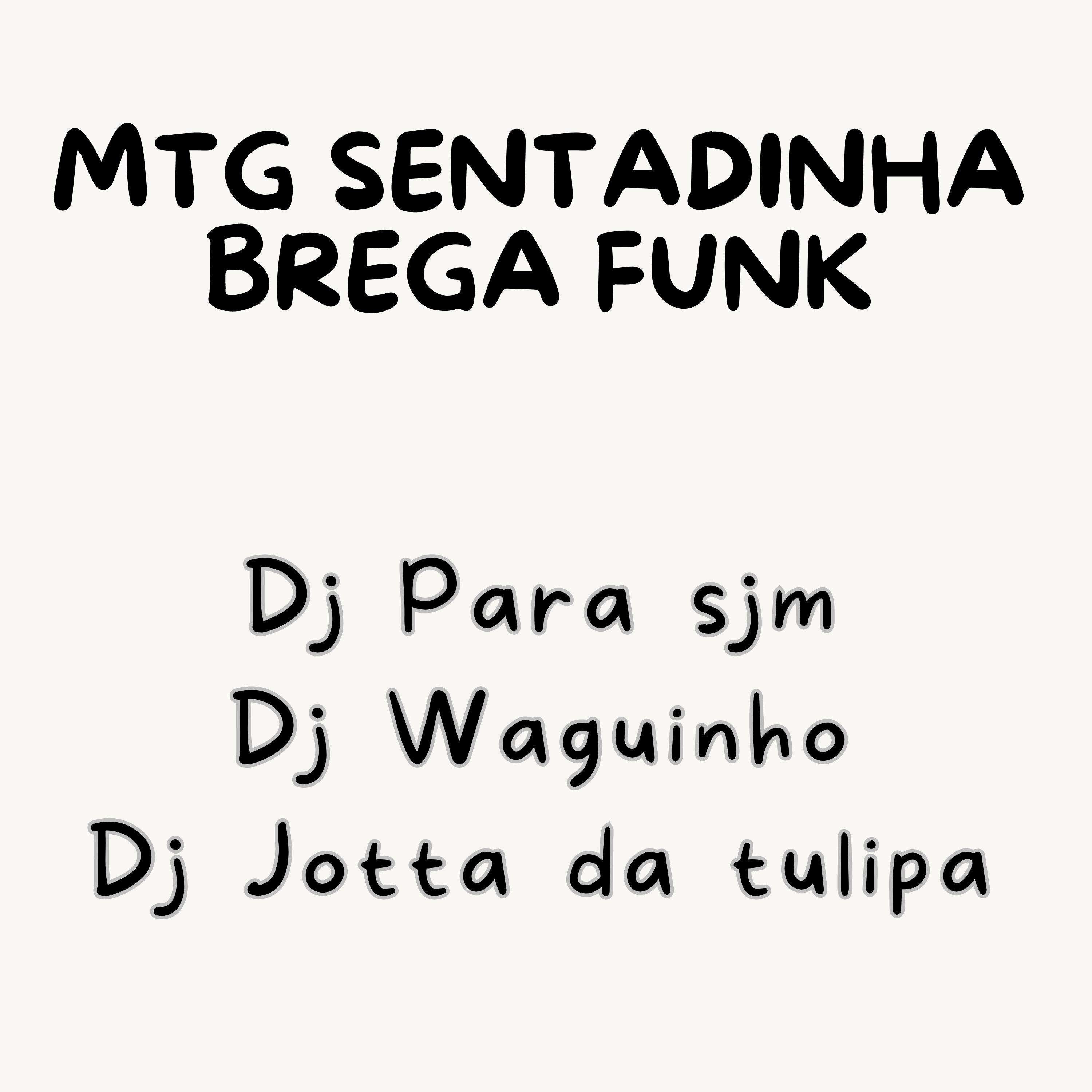 Постер альбома Mtg Sentadinha Brega Funk