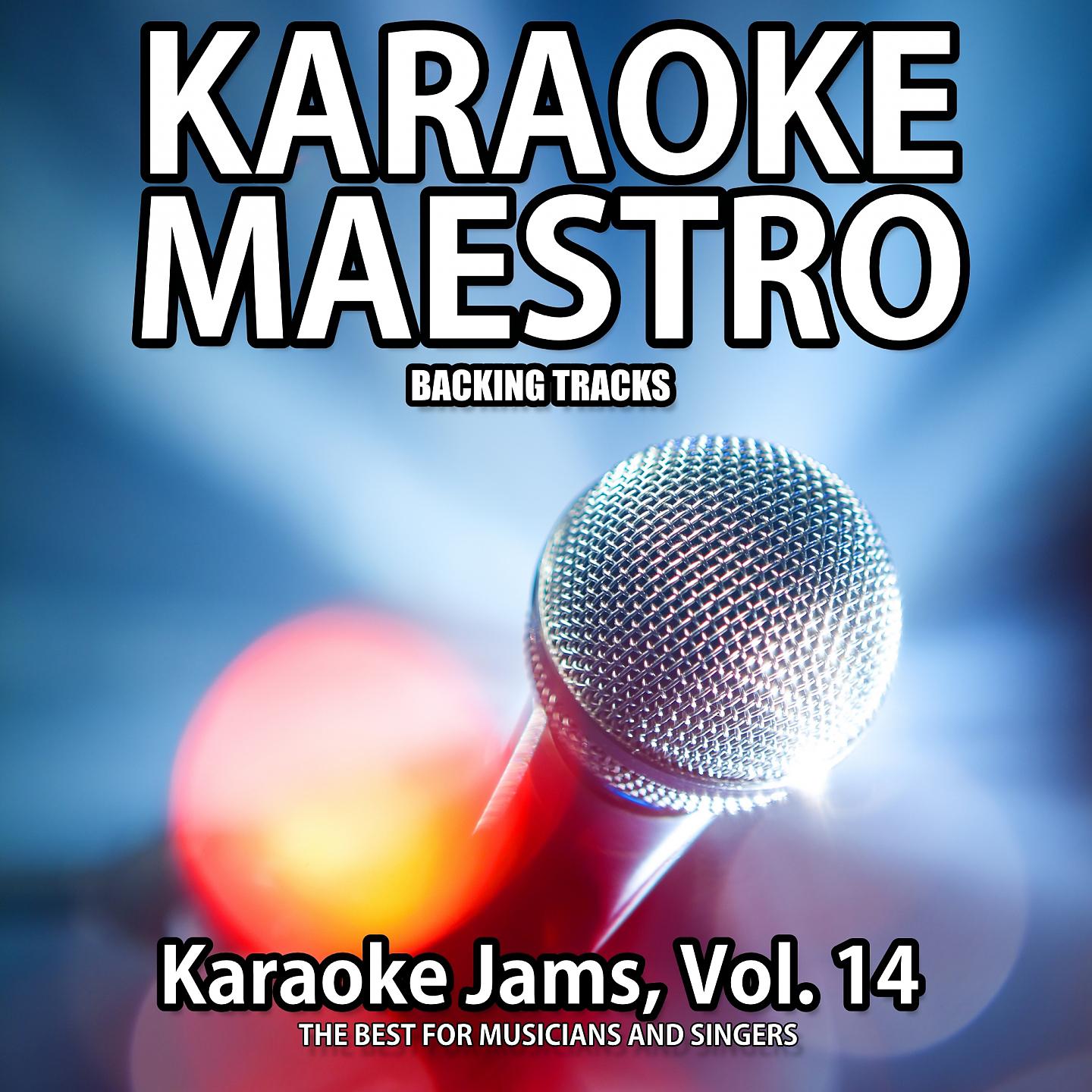 Постер альбома Karaoke Jams, Vol. 14