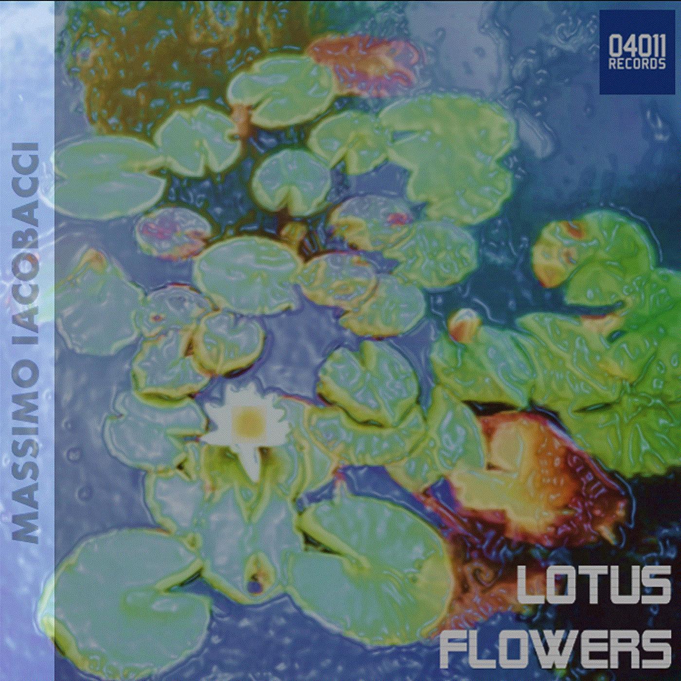 Постер альбома Lotus Flowers