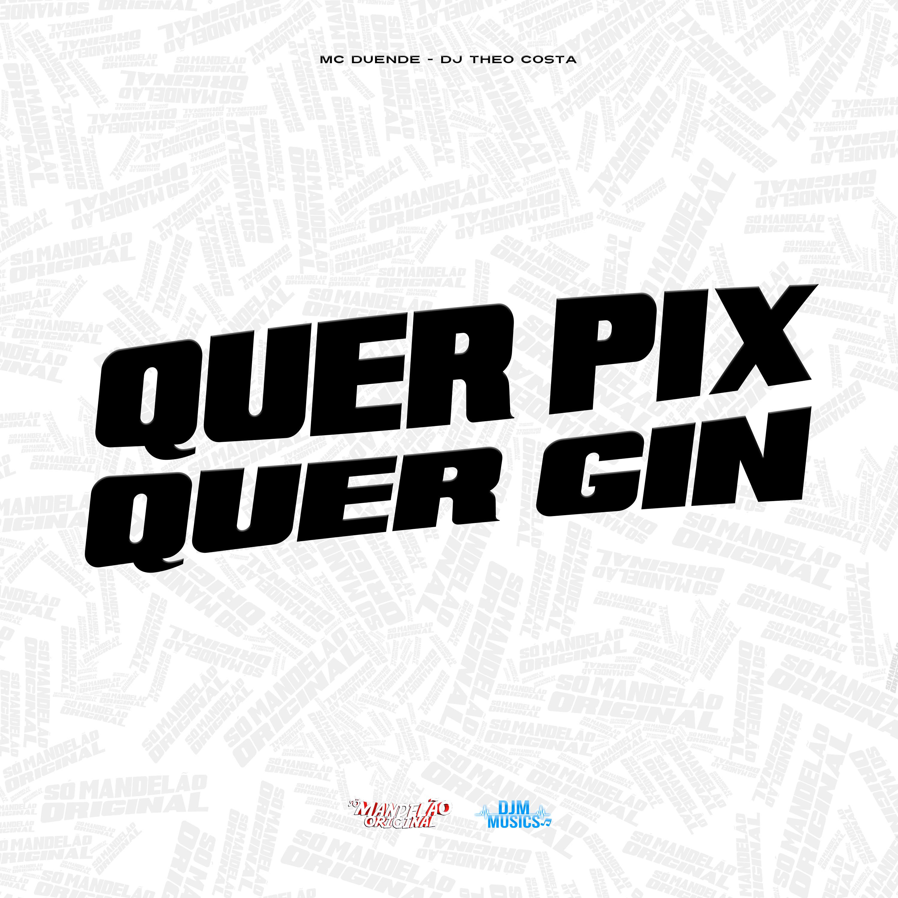 Постер альбома Quer Pix Quer Gin