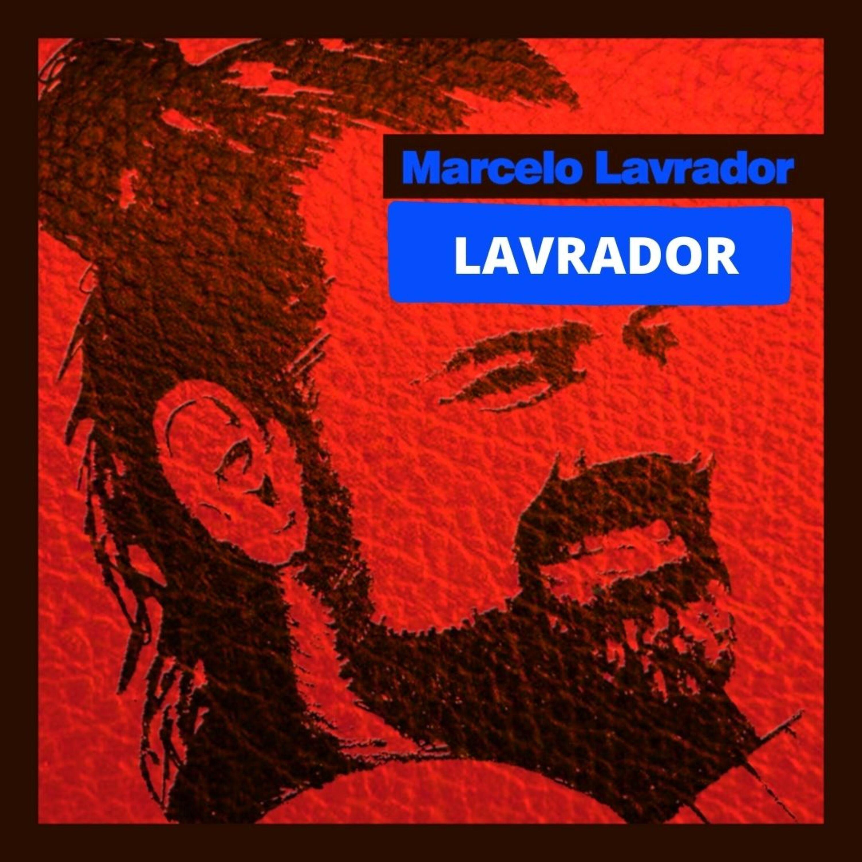 Постер альбома Lavrador