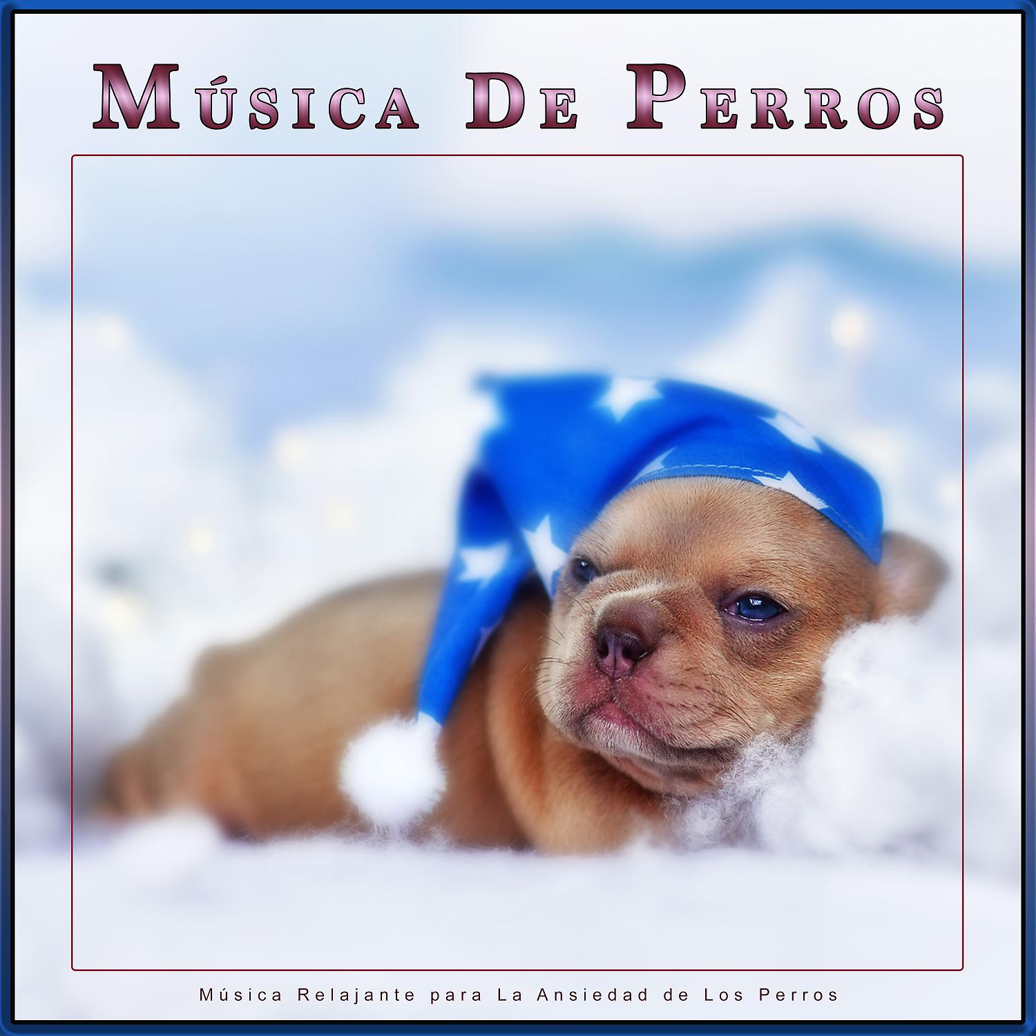 Постер альбома Música De Perros: Música Relajante para La Ansiedad de Los Perros