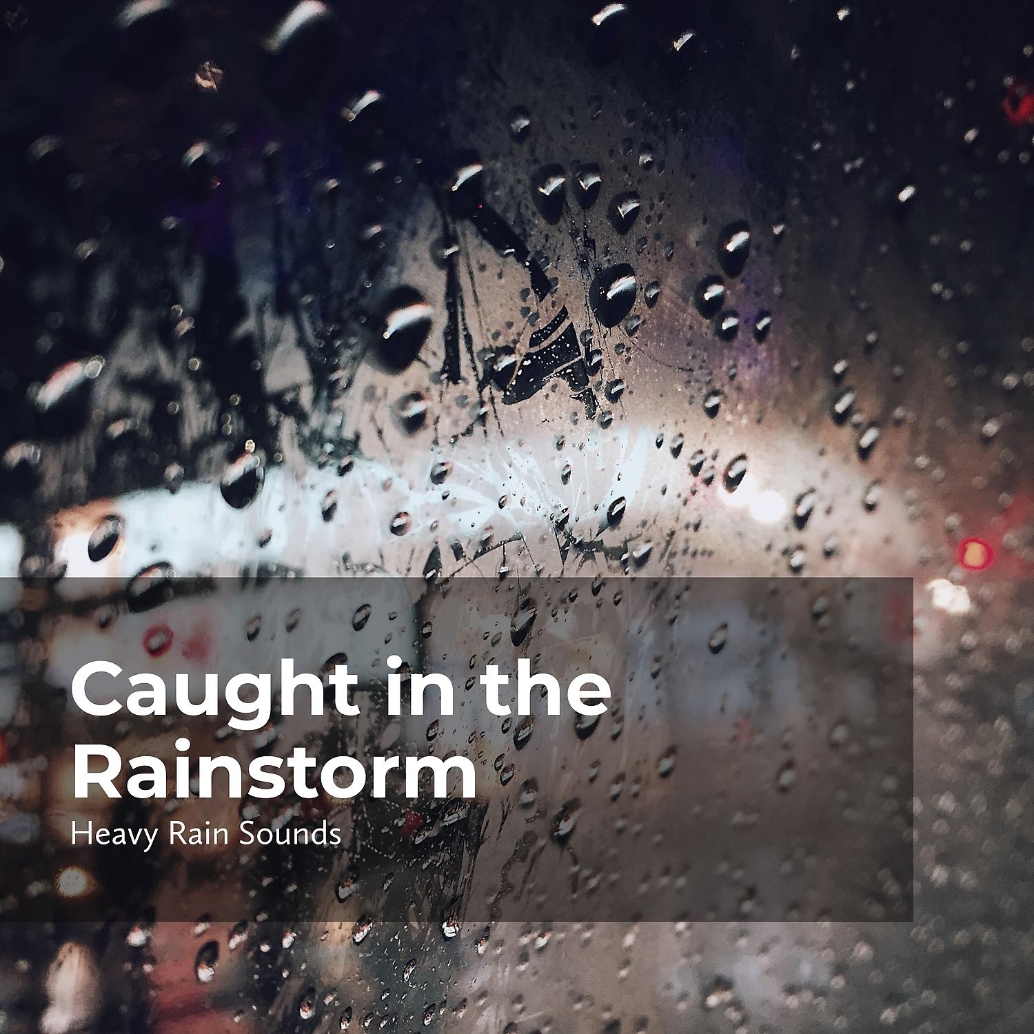 Постер альбома Caught in the Rainstorm