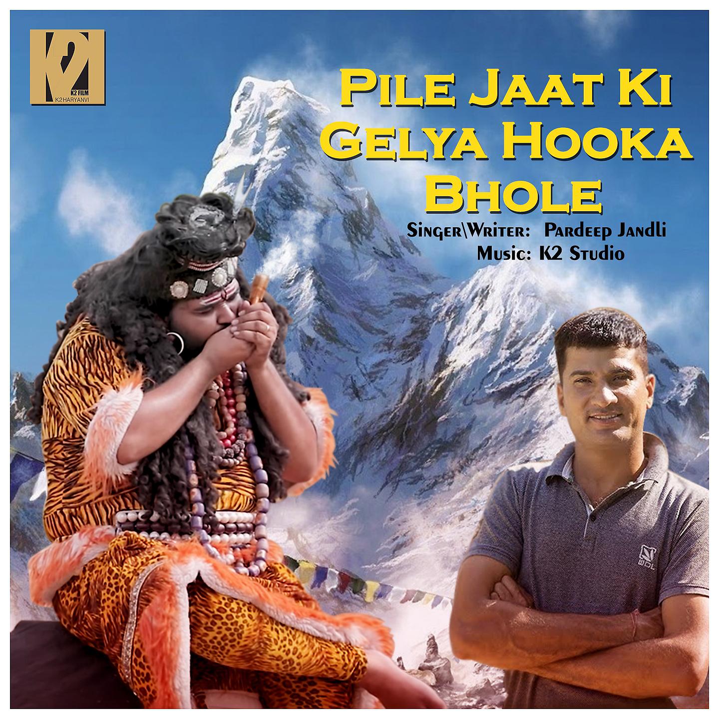 Постер альбома Pile Jaat Ki Gelya Hooka Bhole