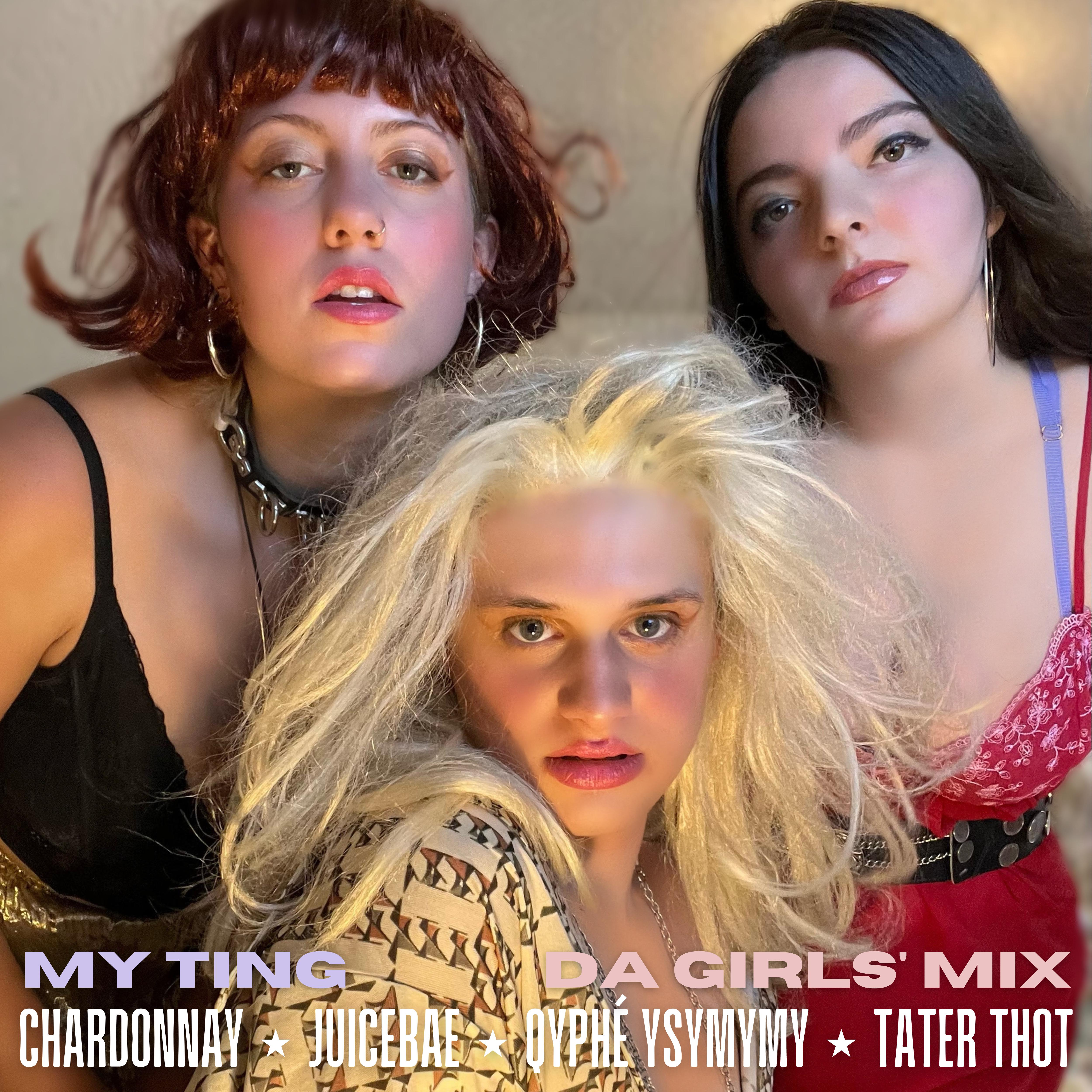 Постер альбома My Ting (Da Girls' Mix)