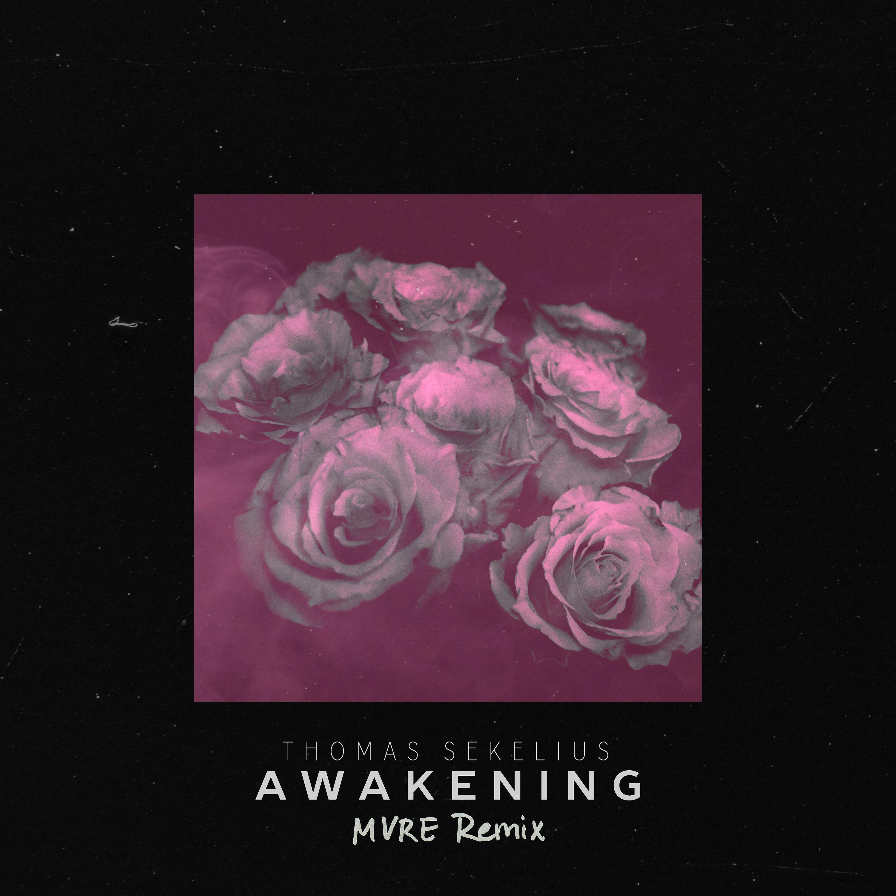 Постер альбома Awakening (MVRE Remix)