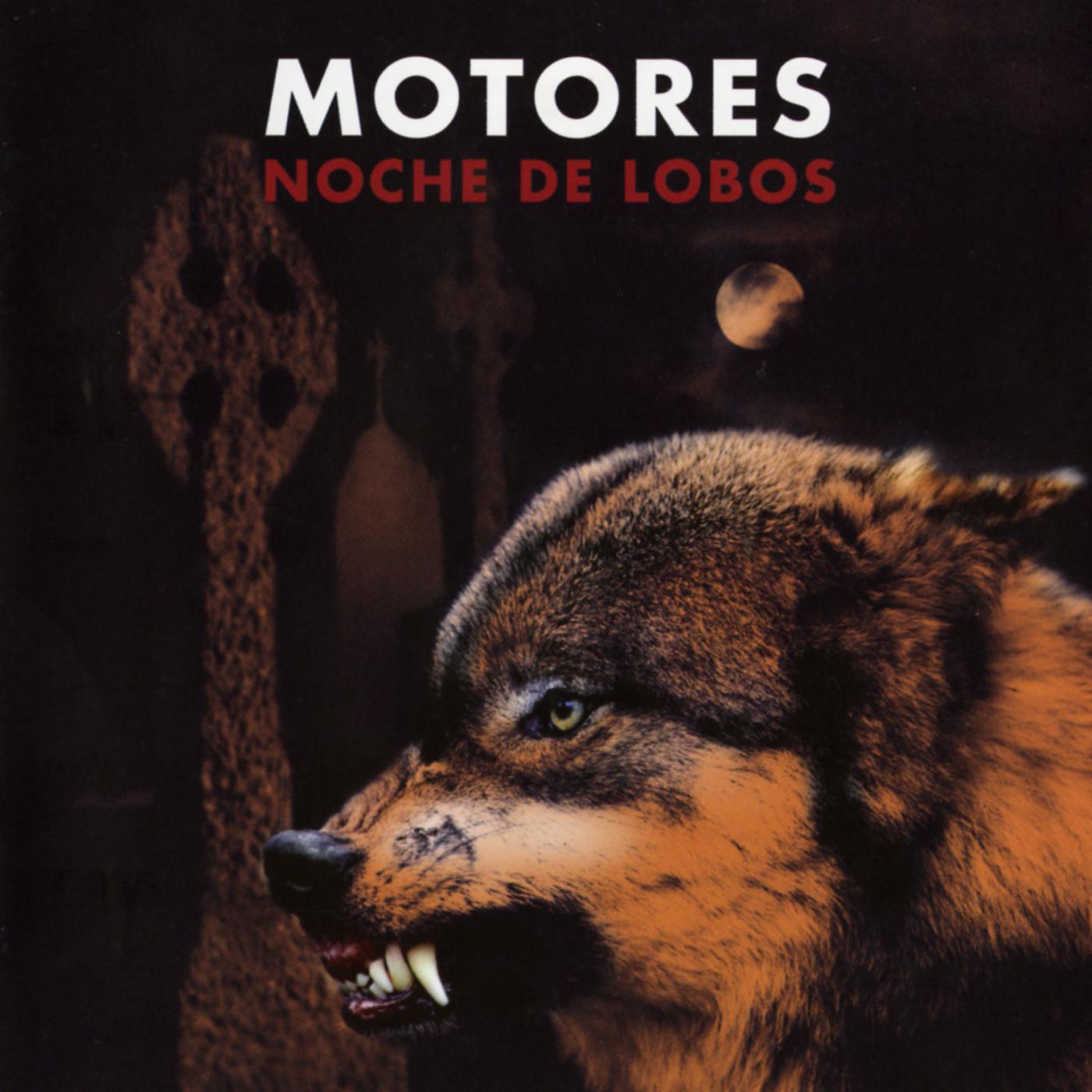 Постер альбома Noche de lobos