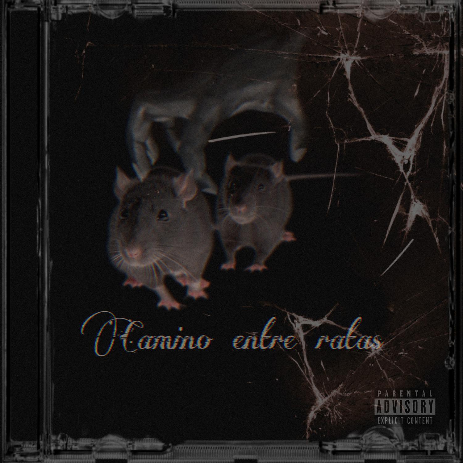 Постер альбома Camino Entre Ratas