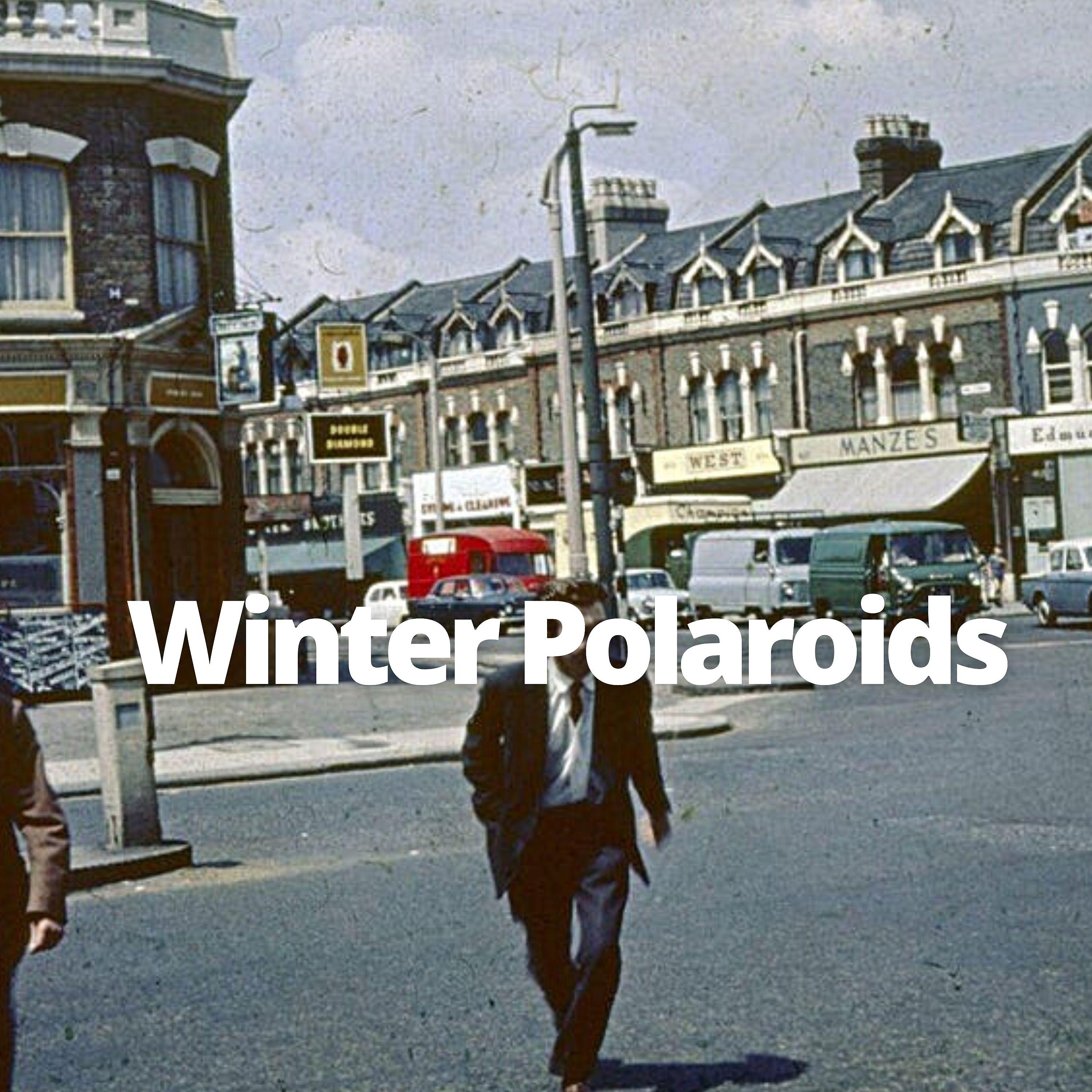 Постер альбома Winter Polaroids
