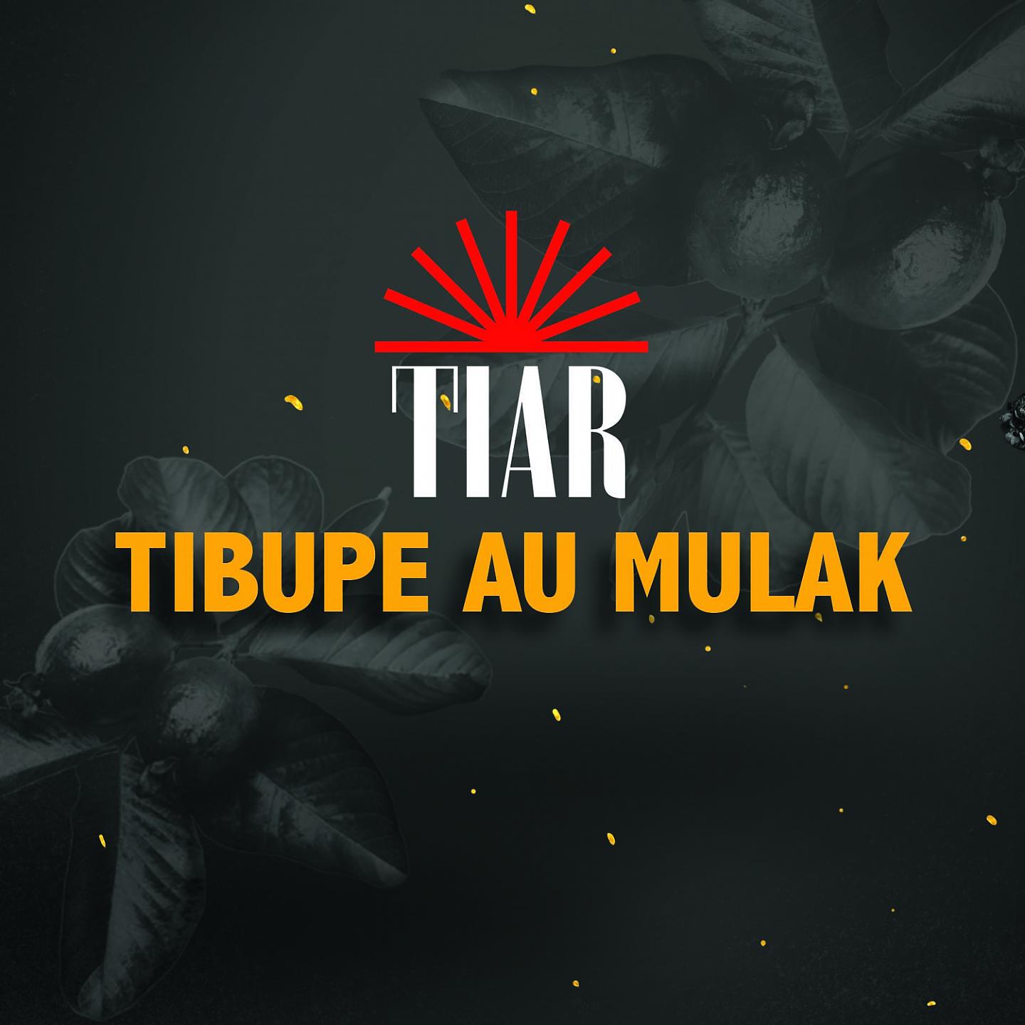 Постер альбома Tibupe Au Mulak