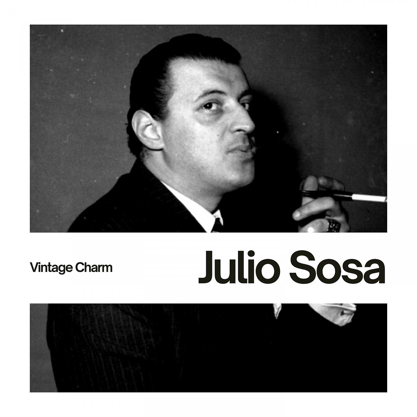 Постер альбома Julio Sosa