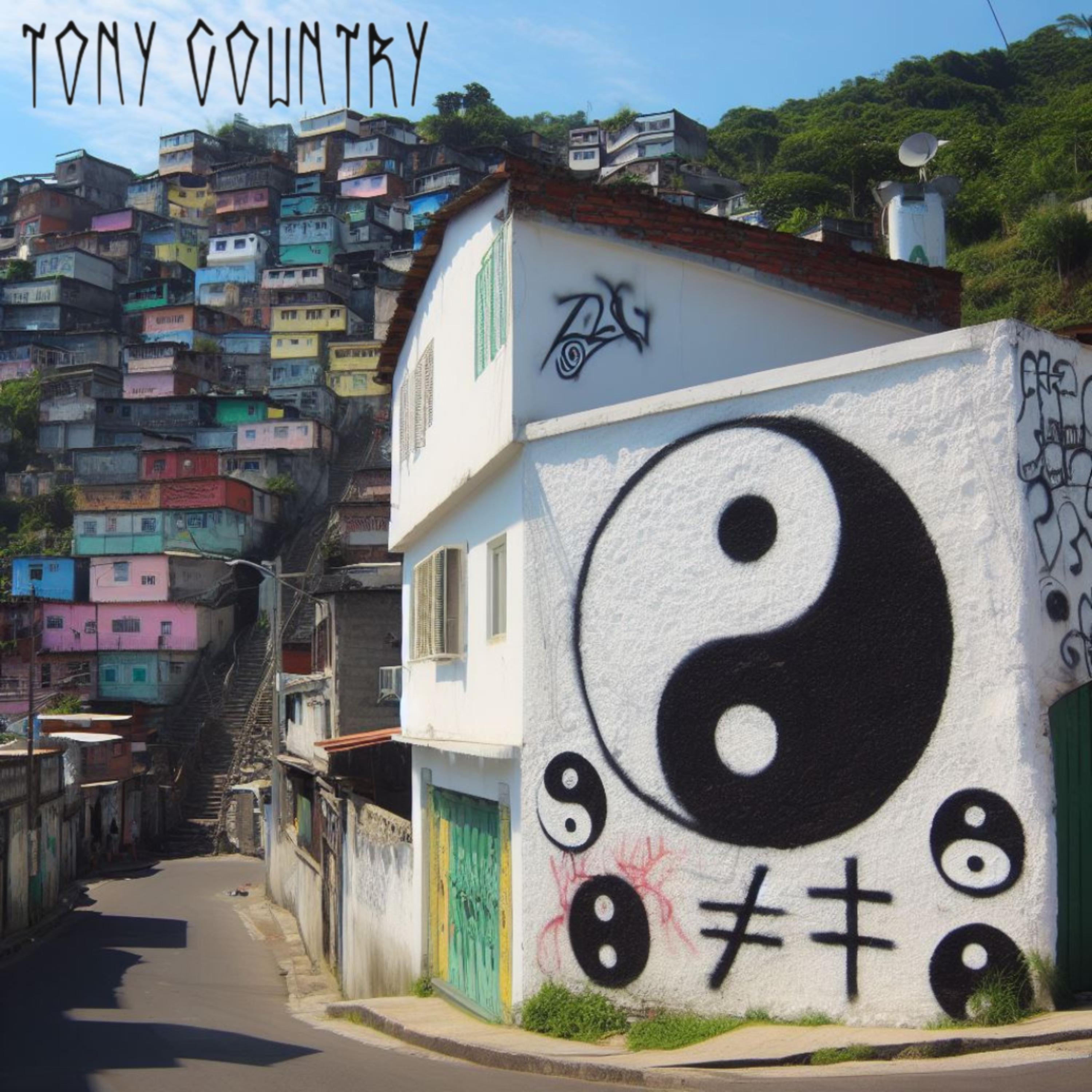 Постер альбома Tony Country