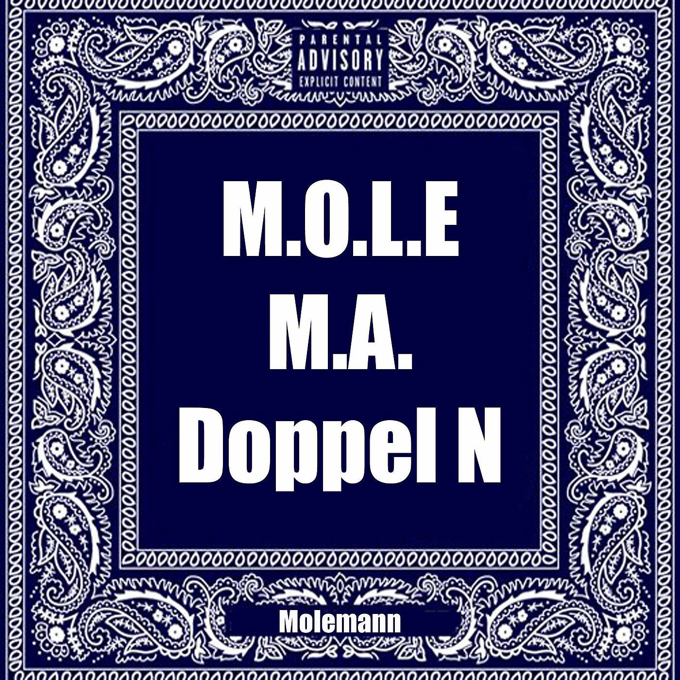 Постер альбома M.O.L.E.M.a. Doppel N