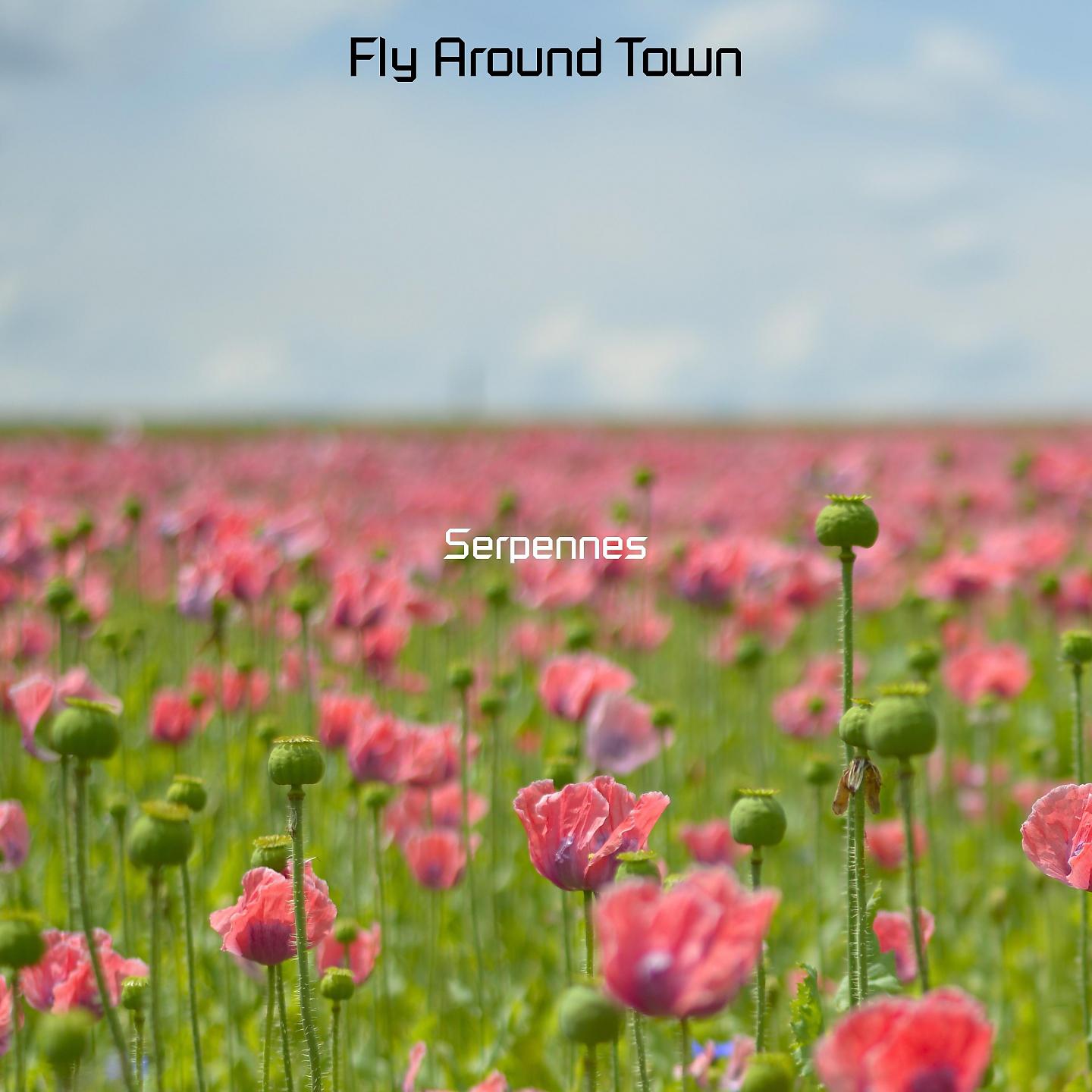 Постер альбома Fly Around Town