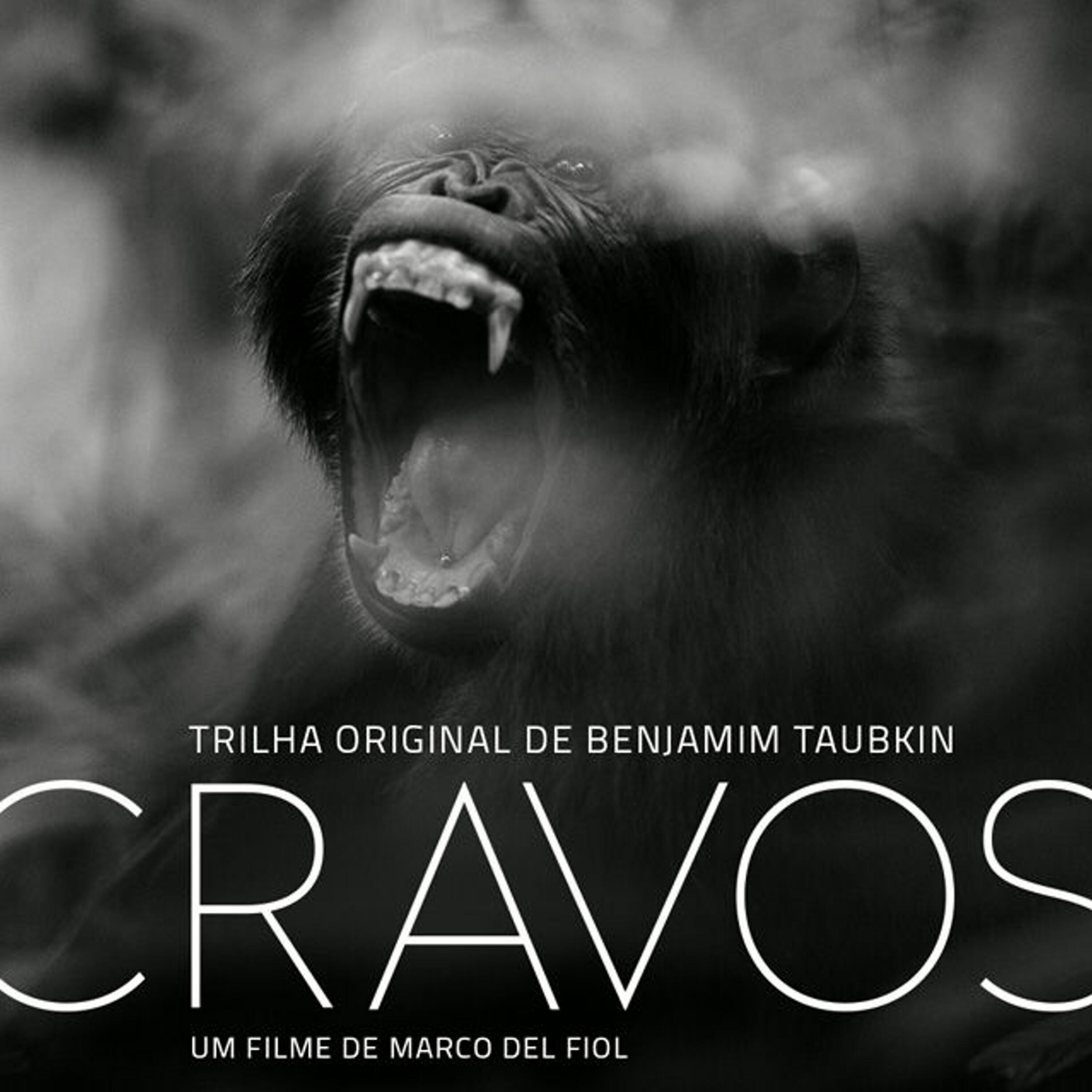 Постер альбома Cravos - Trilha Sonora