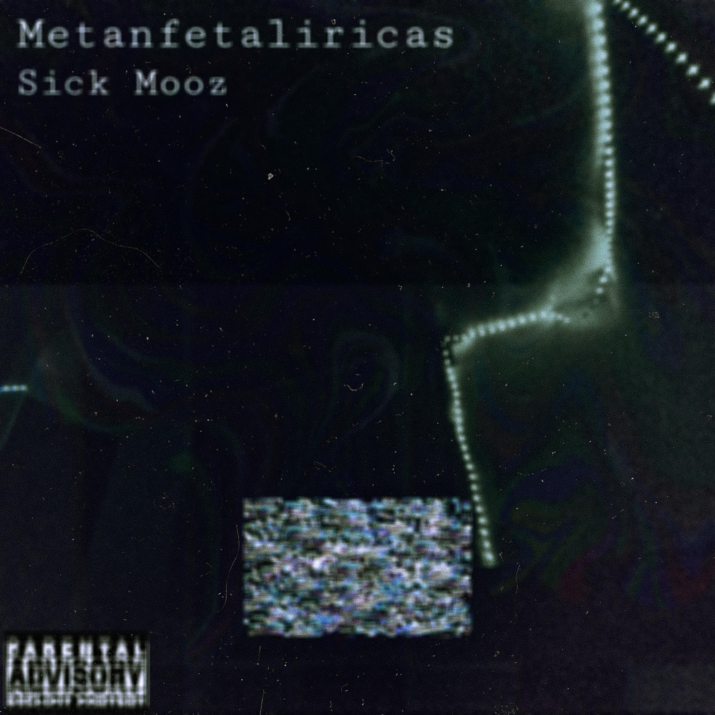 Постер альбома Metanfetaliricas