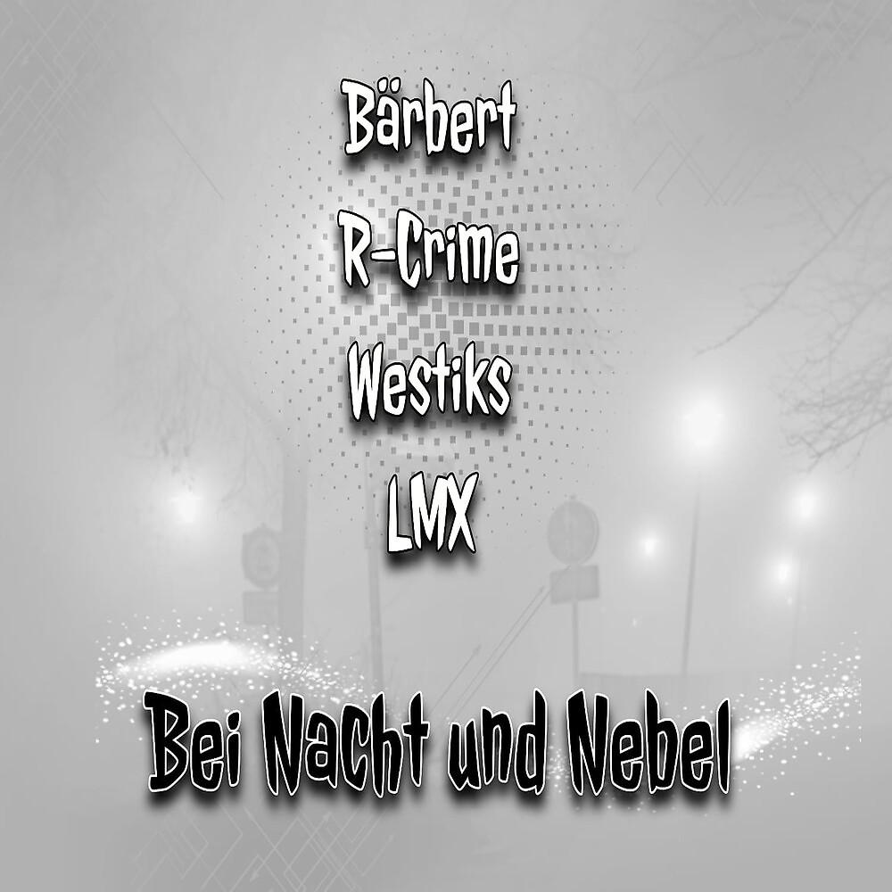 Постер альбома Bei Nacht und Nebel