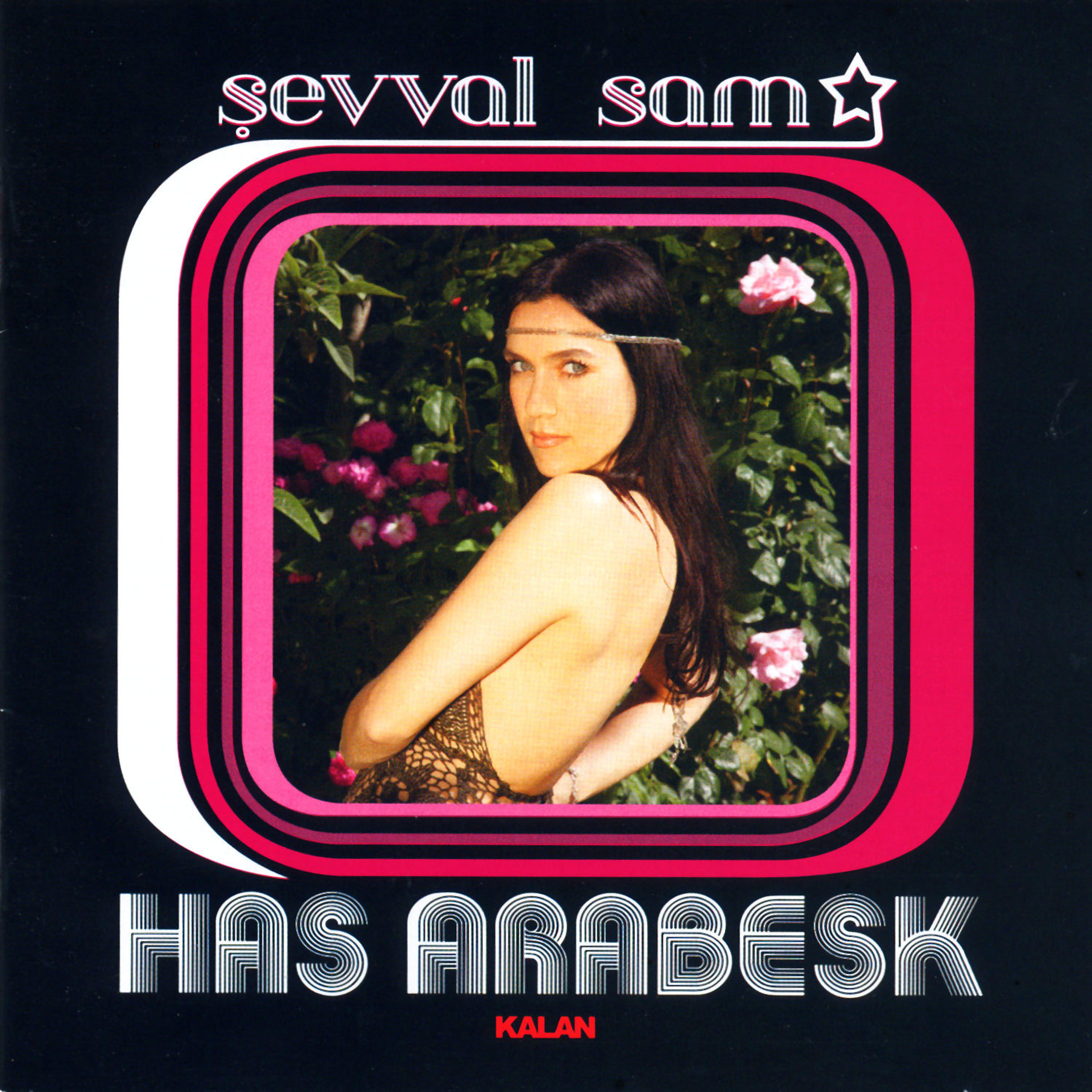 Постер альбома Has Arabesk
