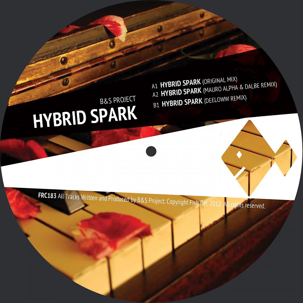 Постер альбома Hybrid Spark