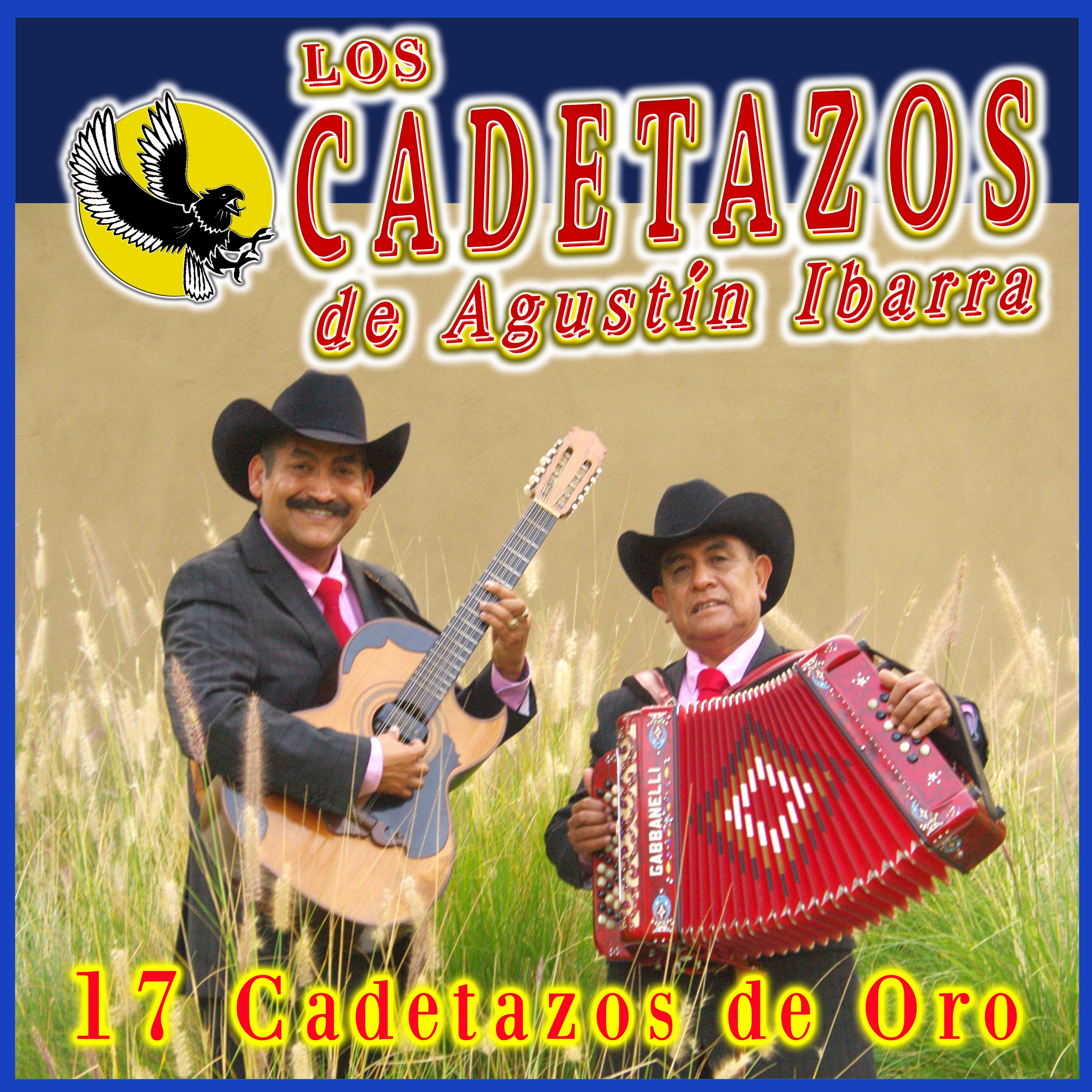 Постер альбома 17 Cadetazos de Oro