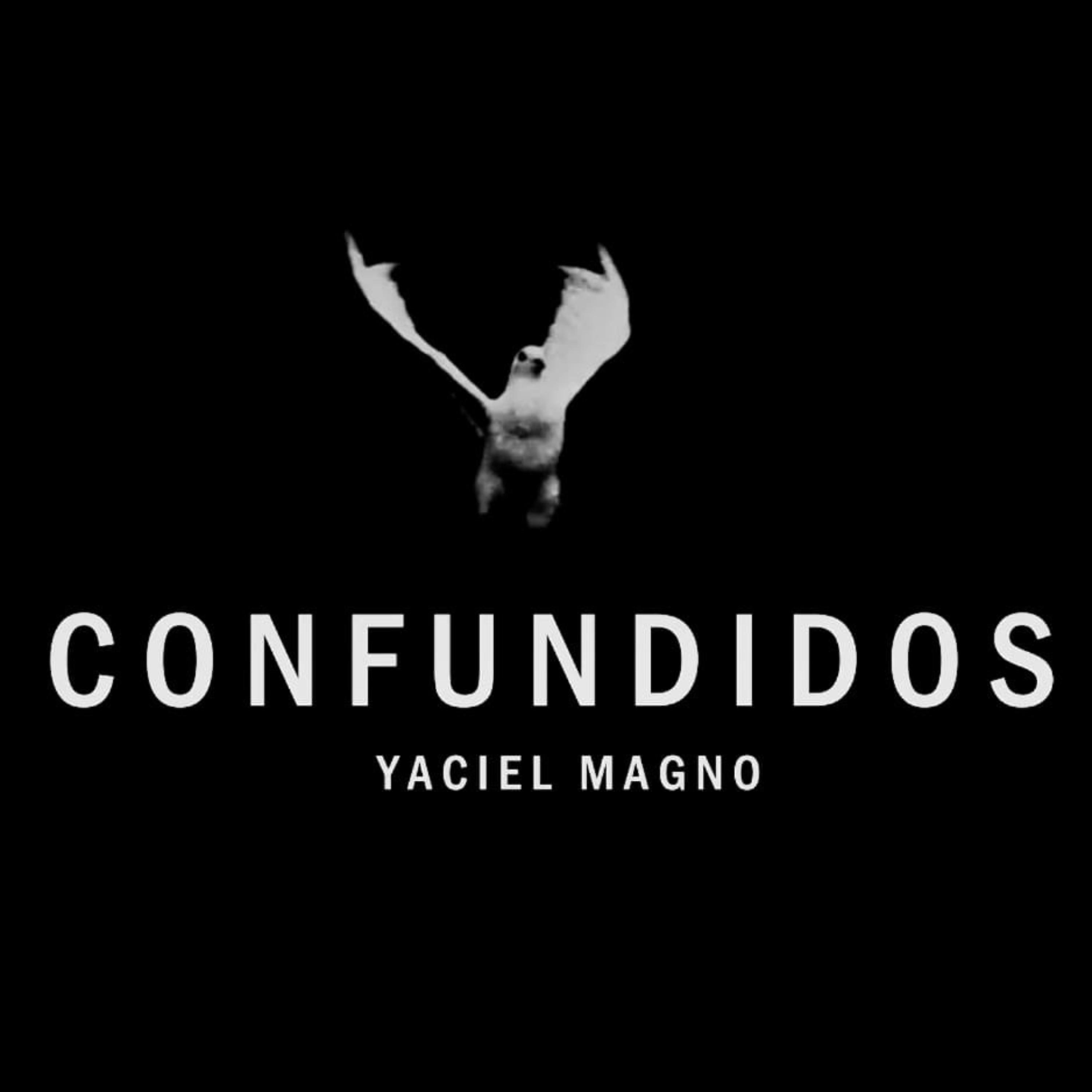 Постер альбома Confundidos