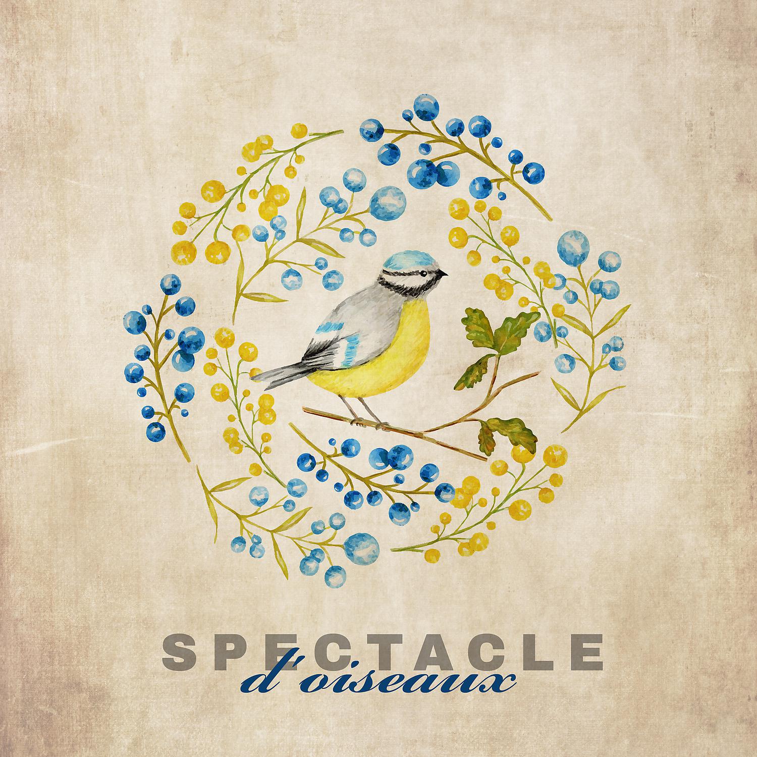 Постер альбома Spectacle d'oiseaux: Musique méditative, Apaisante, Rafraîchissante