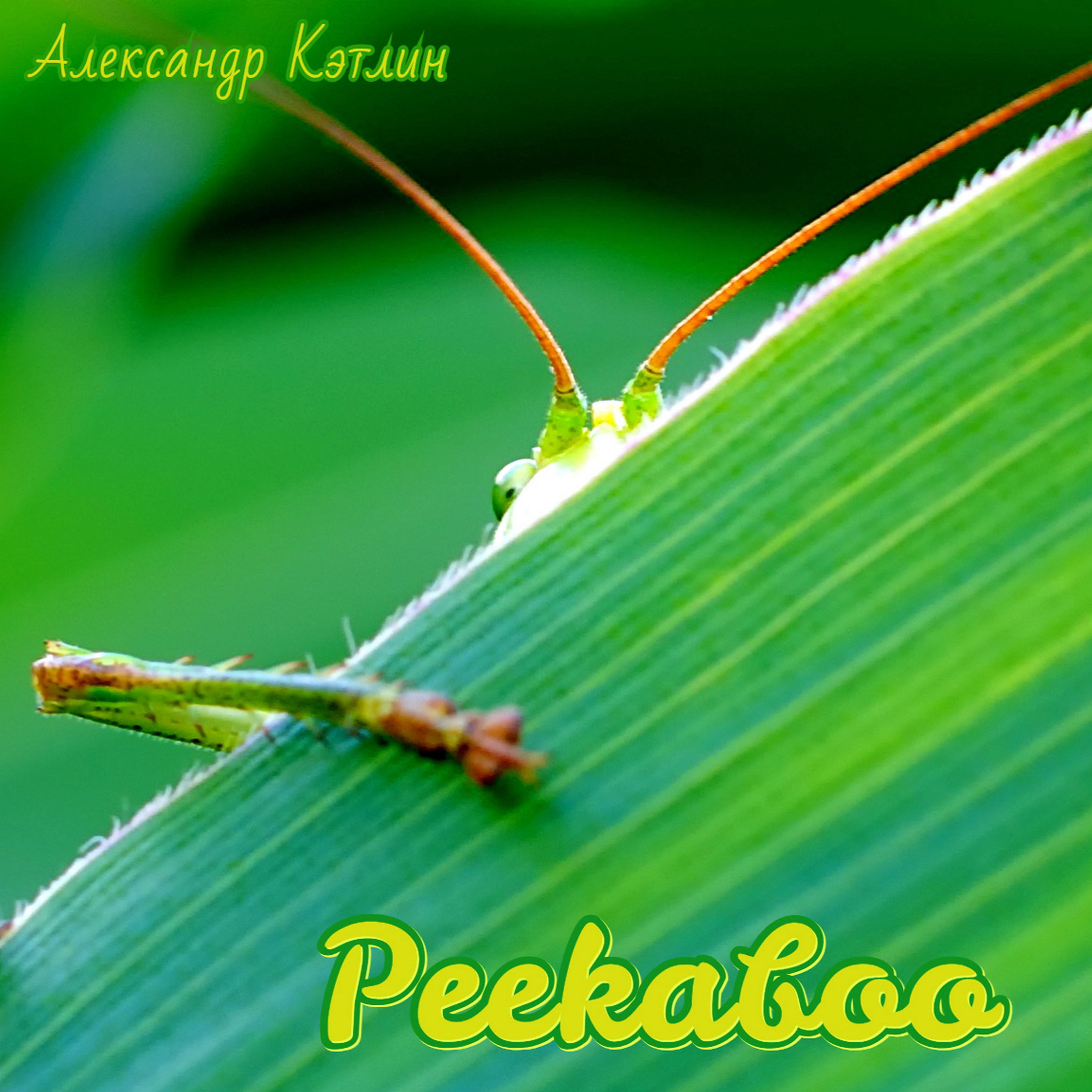 Постер альбома Peekaboo