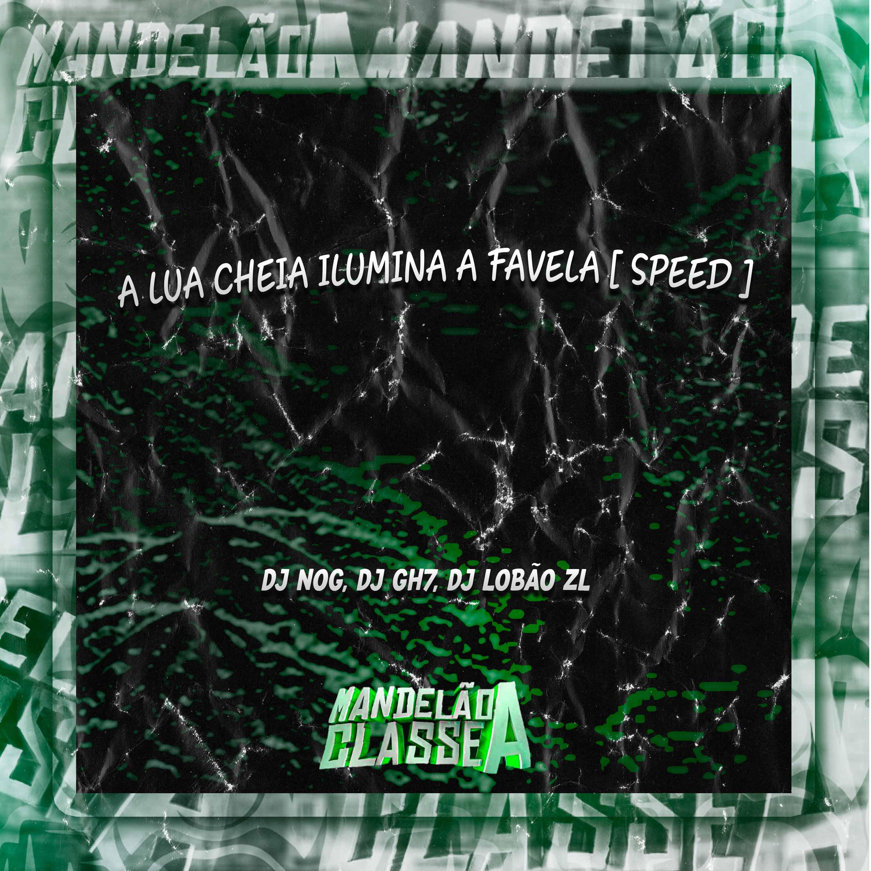 Постер альбома A Lua Cheia Ilumina a Favela (Speed)