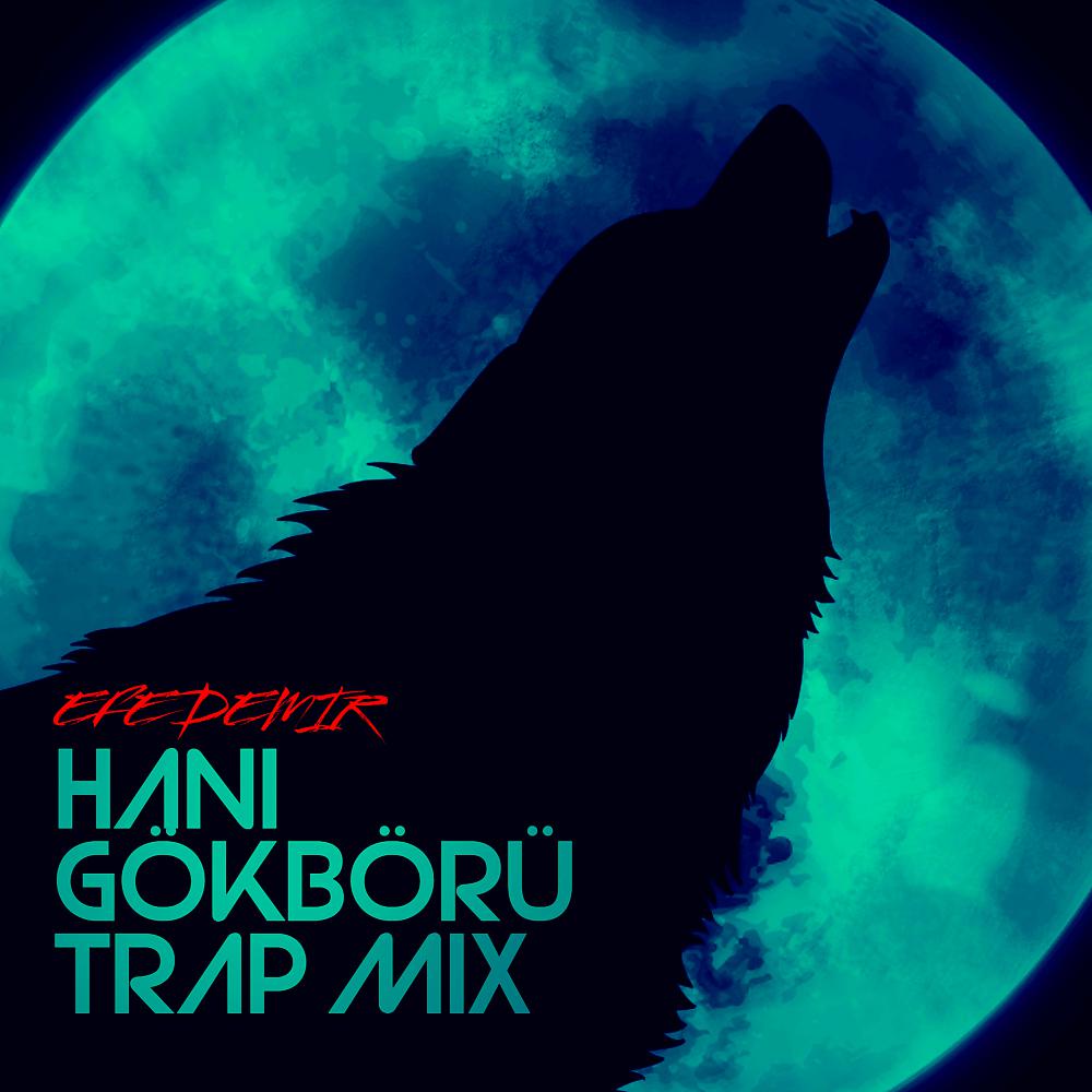 Постер альбома Hani Gökbörü (Trap Mix)
