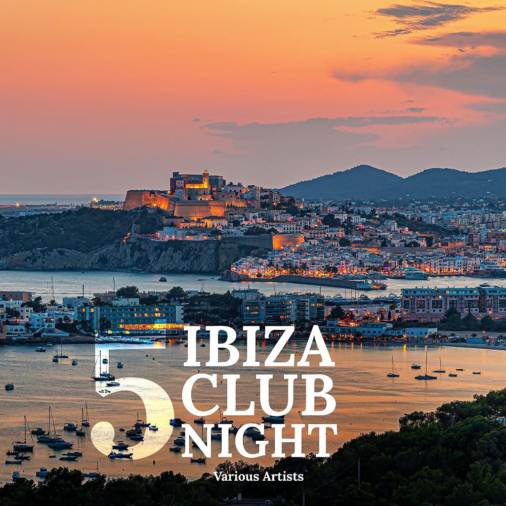 Постер альбома Ibiza Club Night 5
